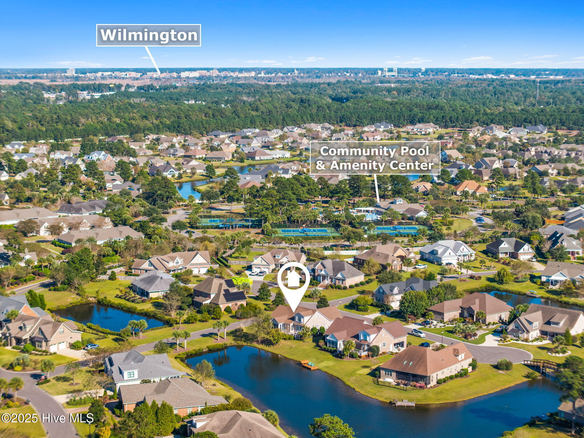 100538091 | Photo 62