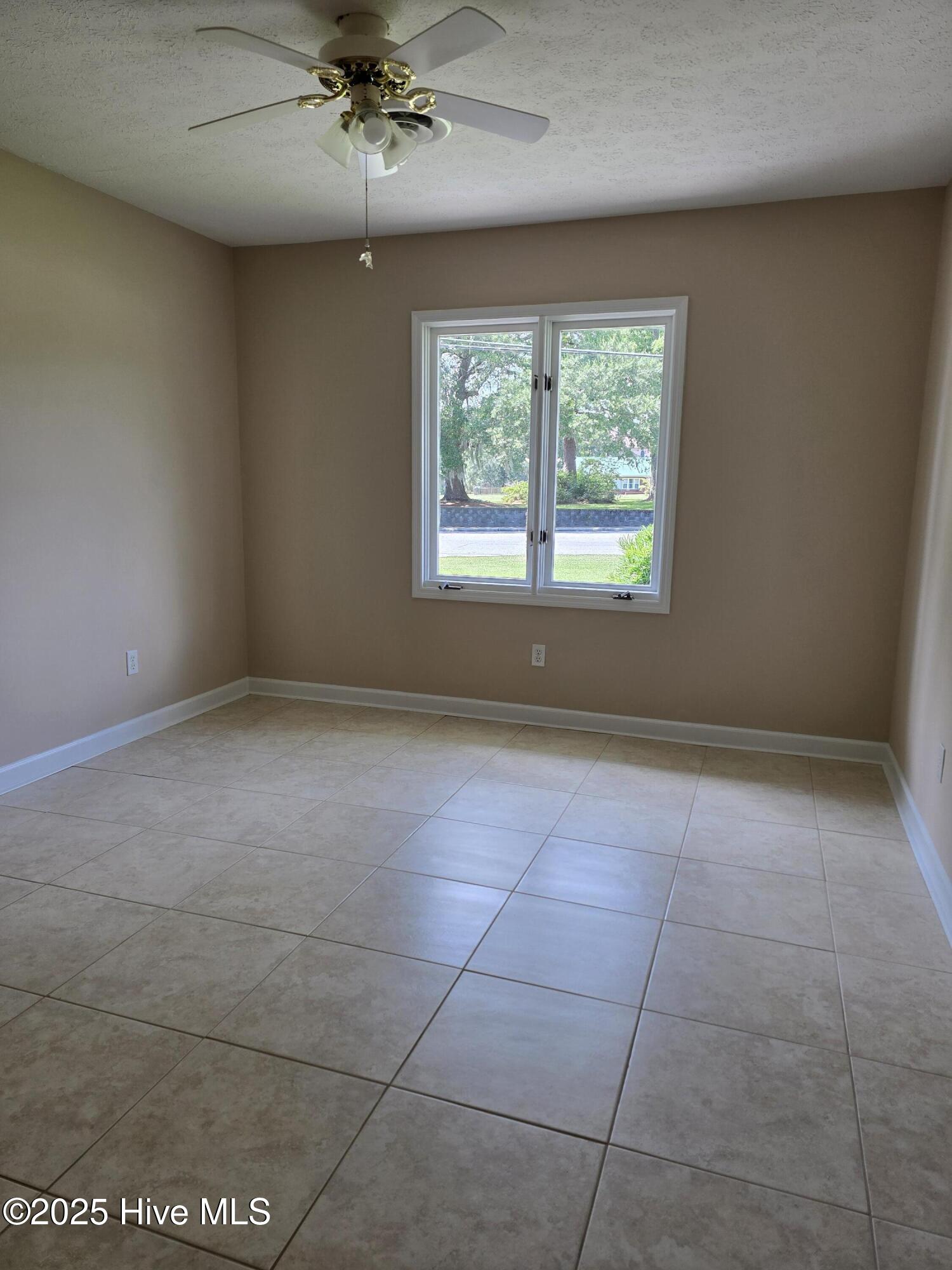 100527387 | Photo 15