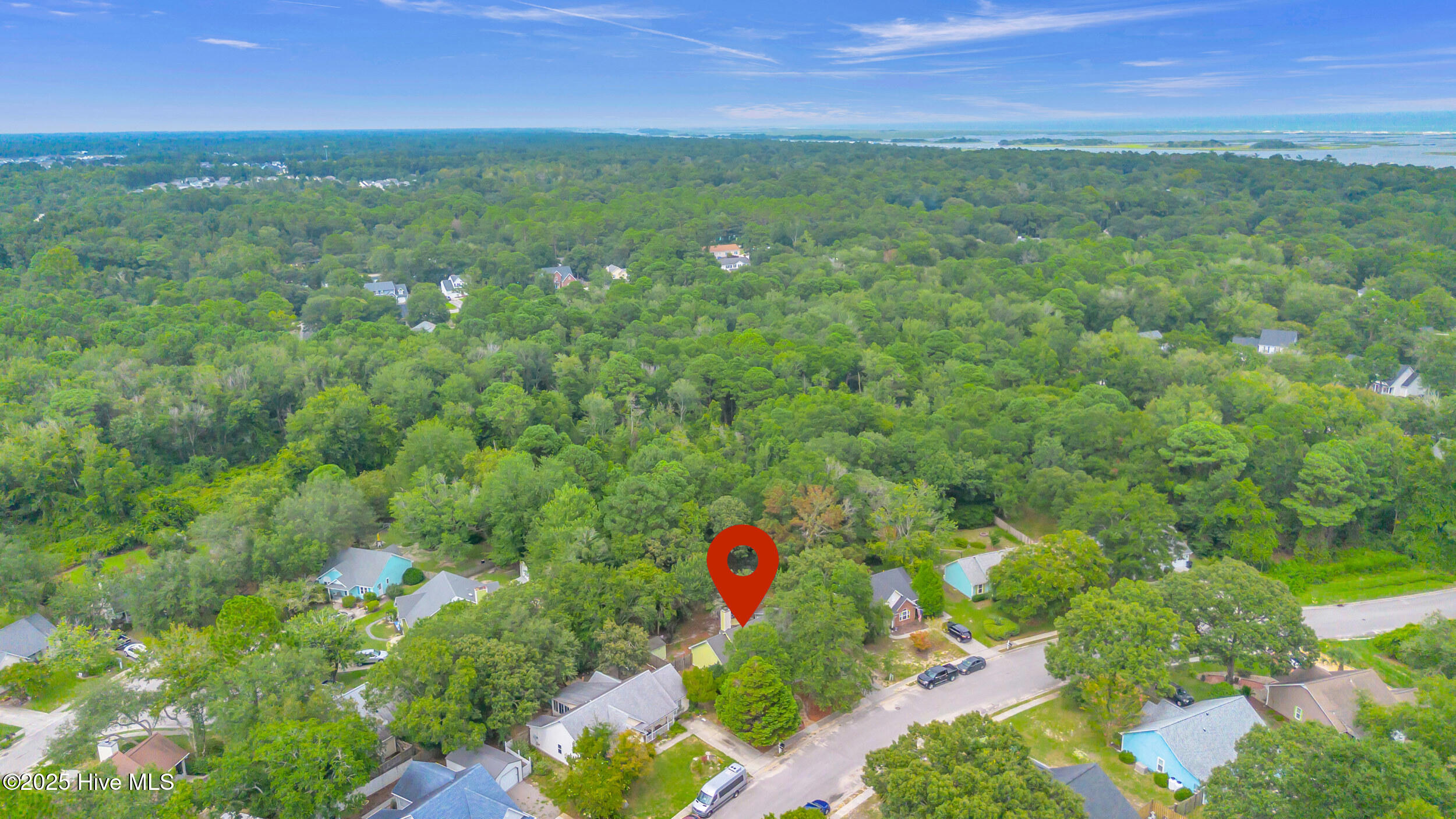 100524404 | Photo 23