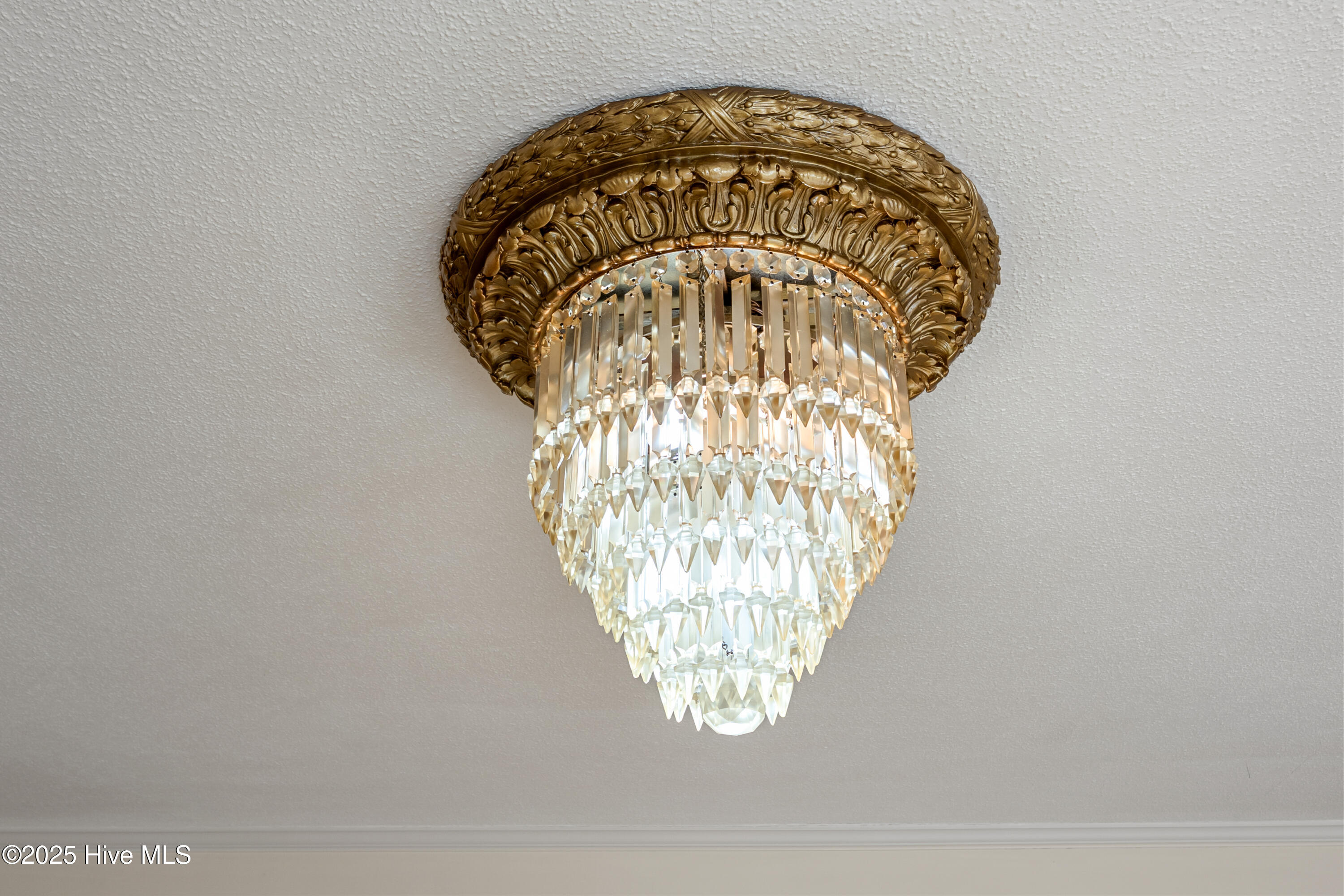 100542635 | Photo 59