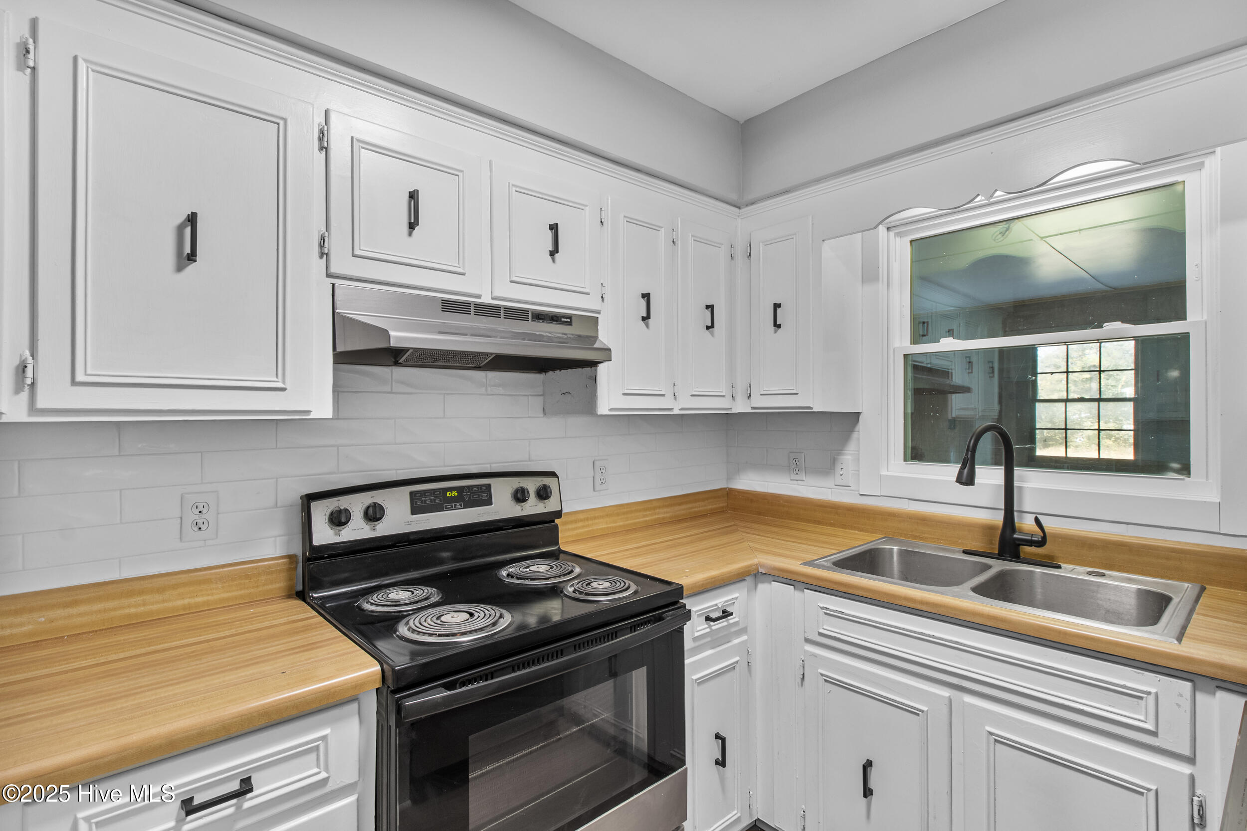 100540199 | Photo 11