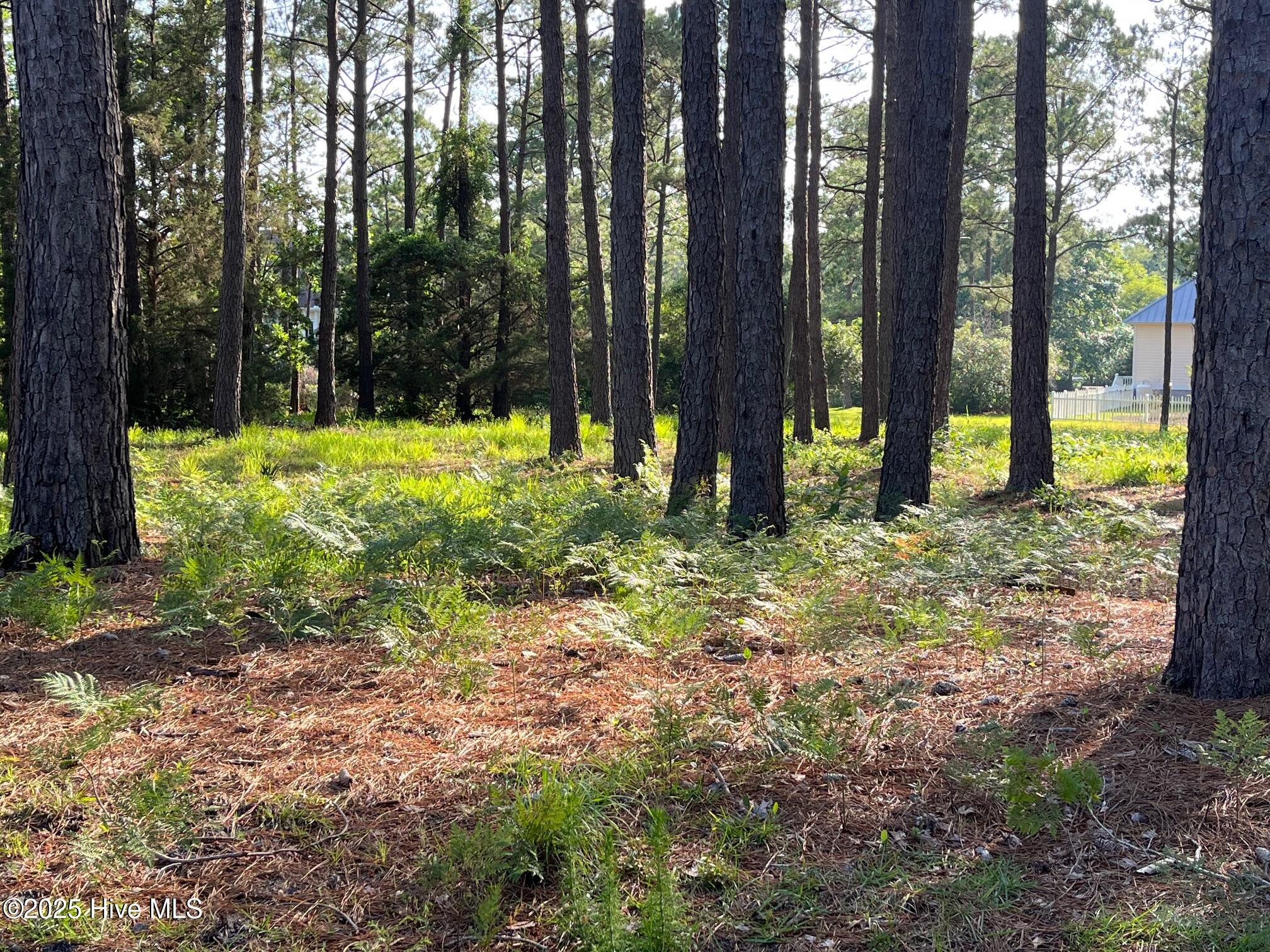 3518 Scupper Run SE, Southport, NC, 28461