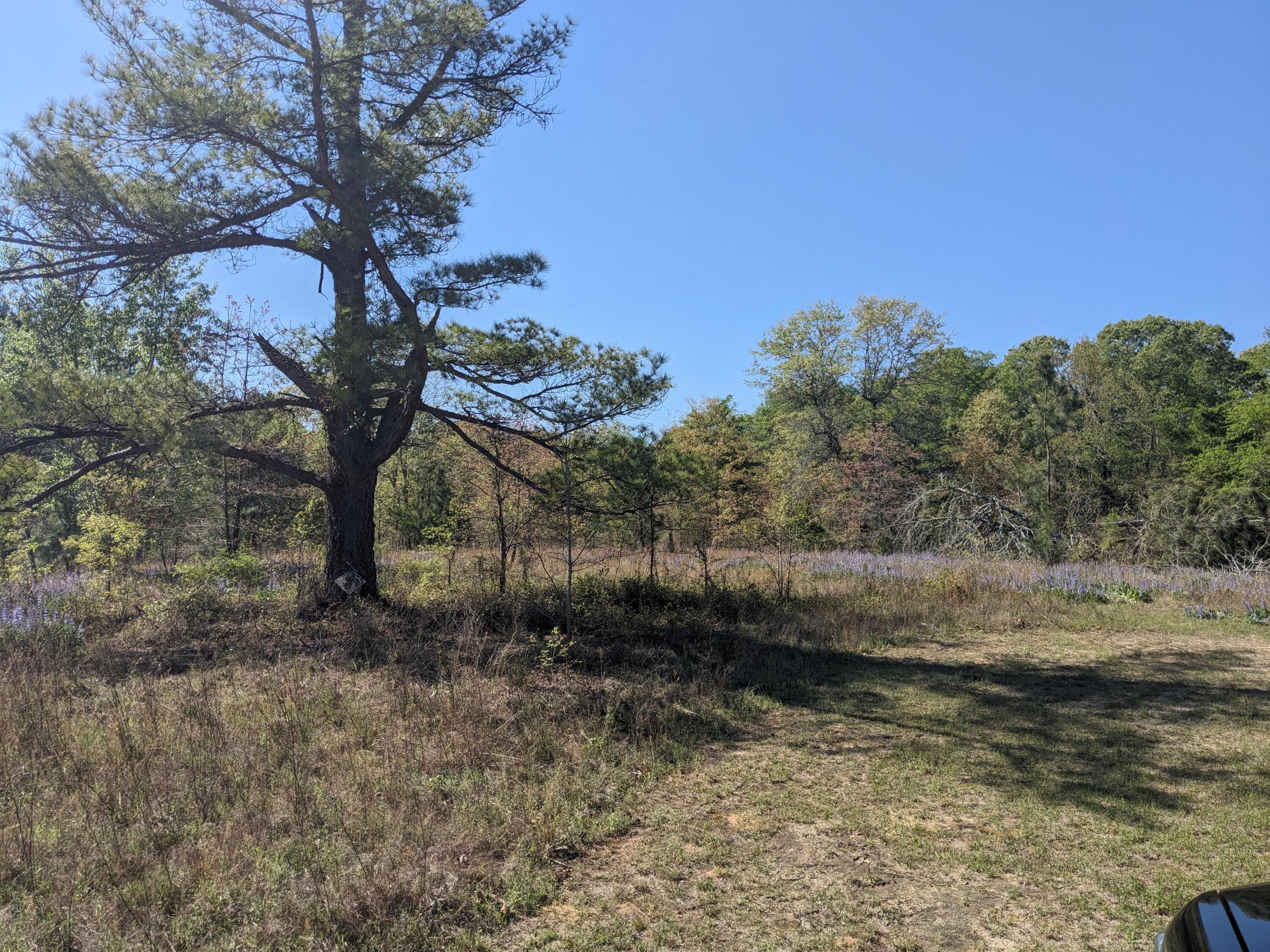 Photo 1 of Land for sale at 4781 Deans Brg Rd, Blythe, GA 30805 | MLS# 100603663 | Listing updated on 2026-09-15