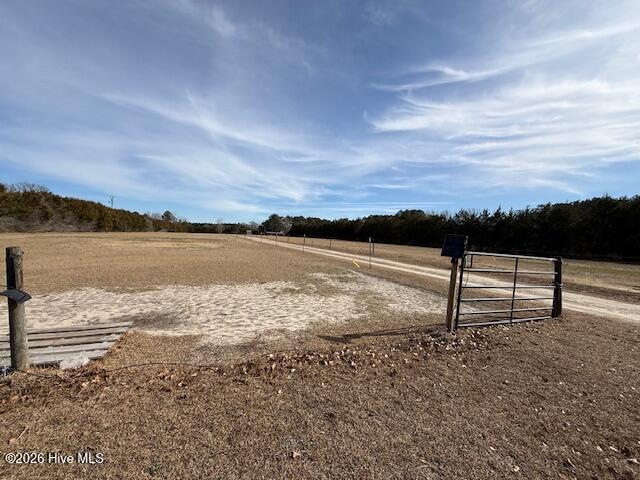 100552157 | Photo 38