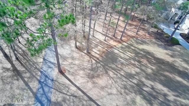 100533774 | Photo 25