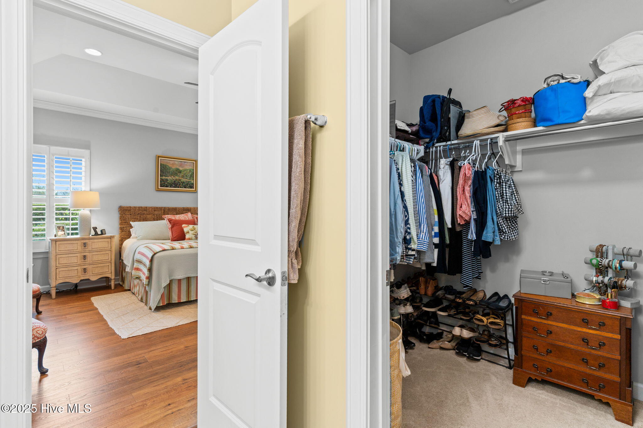 100536168 | Photo 20