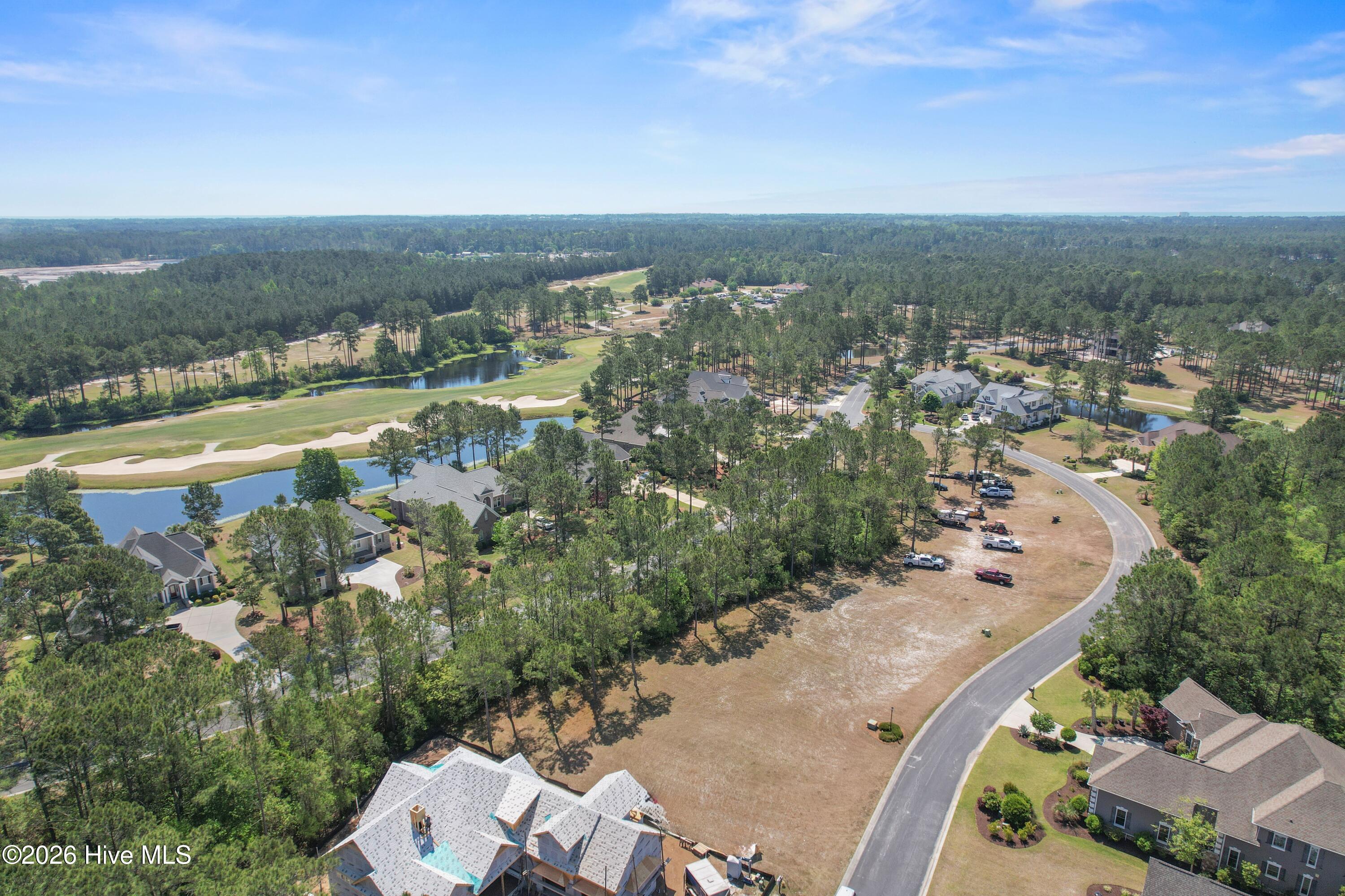 100570041 | Photo 16