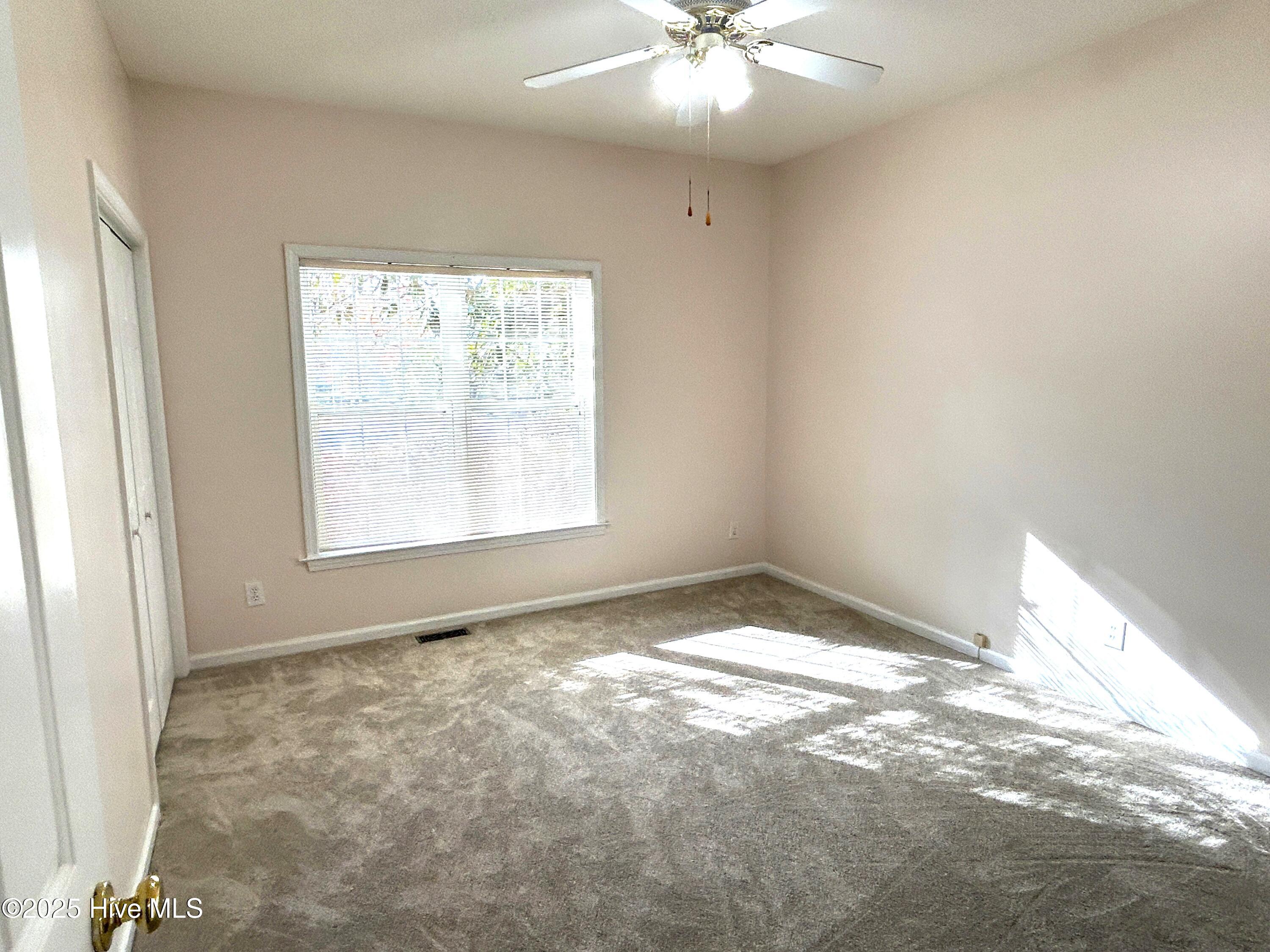 100546134 | Photo 13