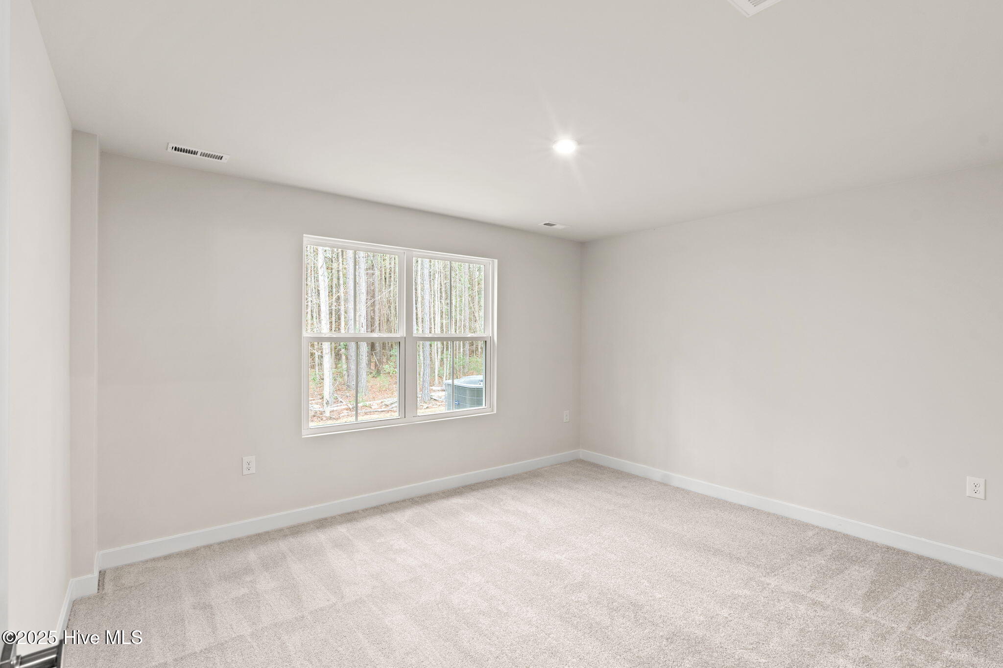 100541179 | Photo 12