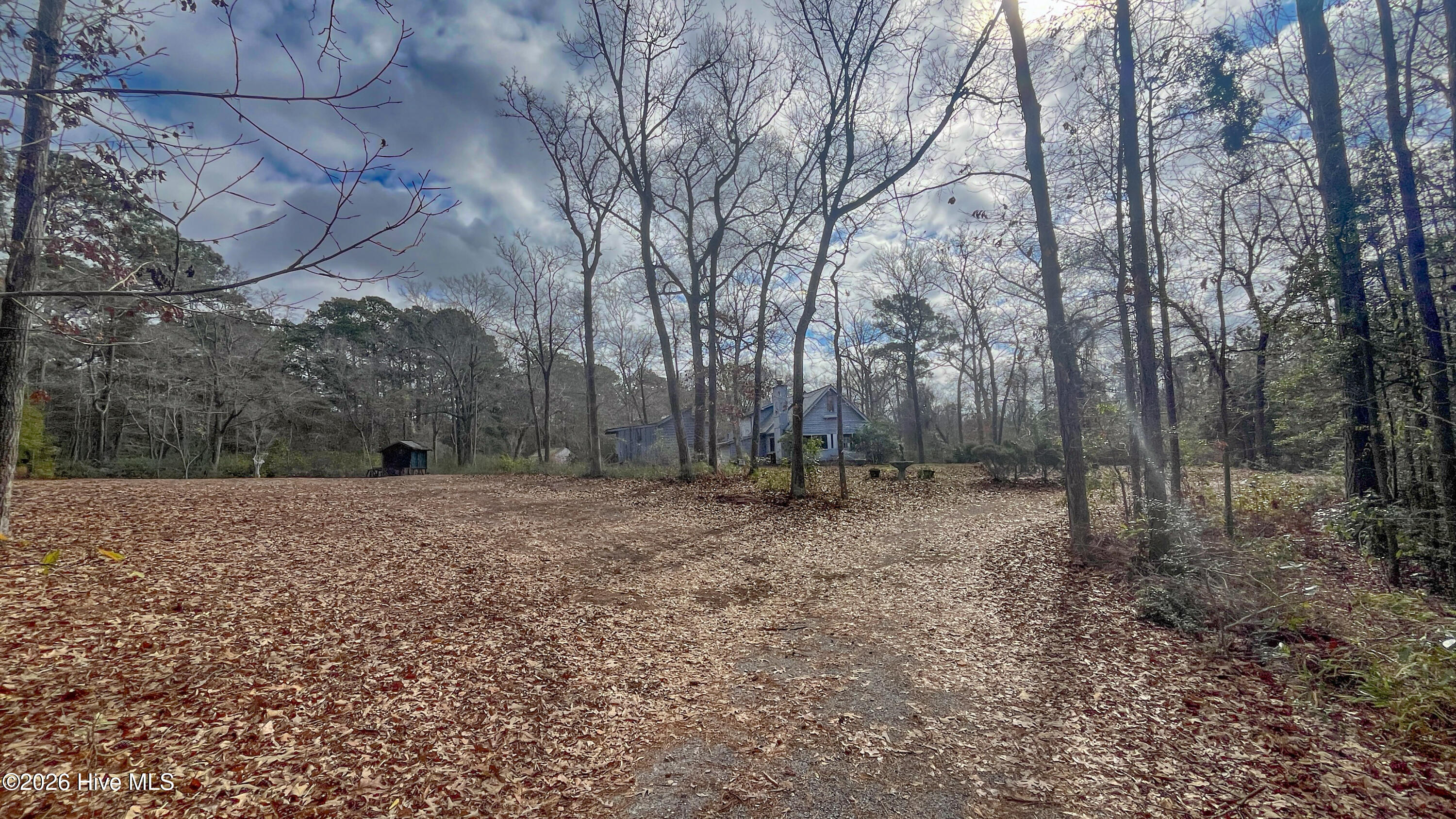 100557904 | Photo 21