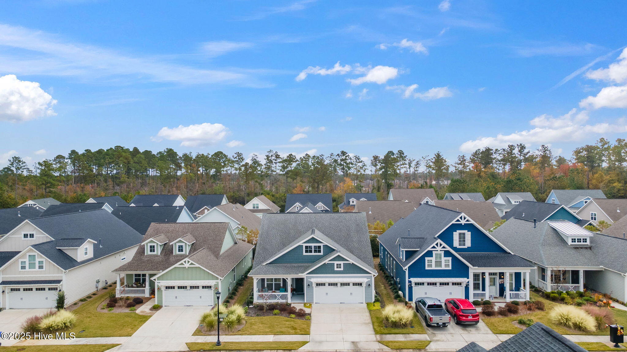 100541268 | Photo 45