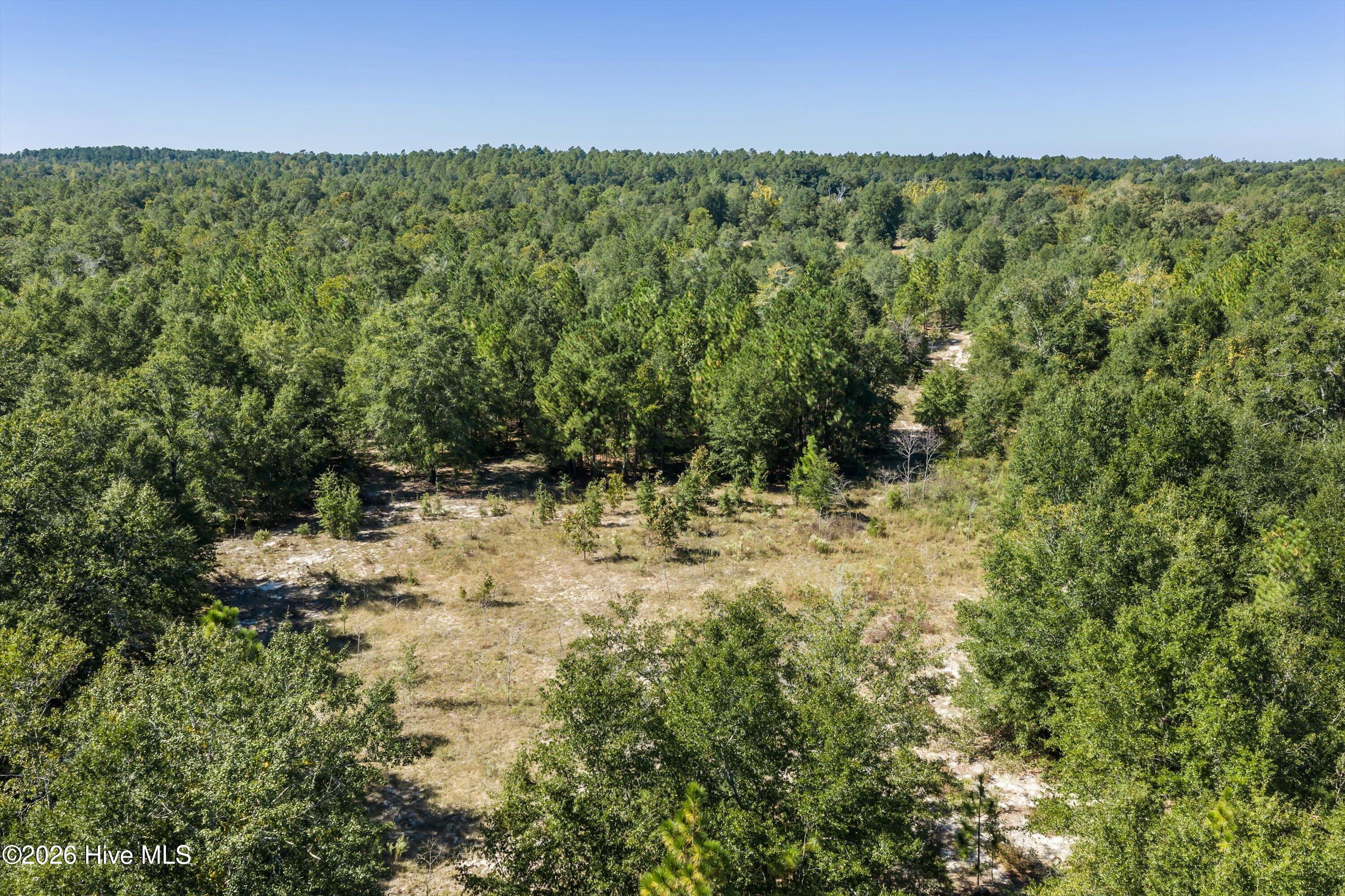 Photo 4 of Land for sale at 0000 Mary Rawls Rd, Wagener, SC 29164 | MLS# 100609229 | Listing updated on 2026-10-09