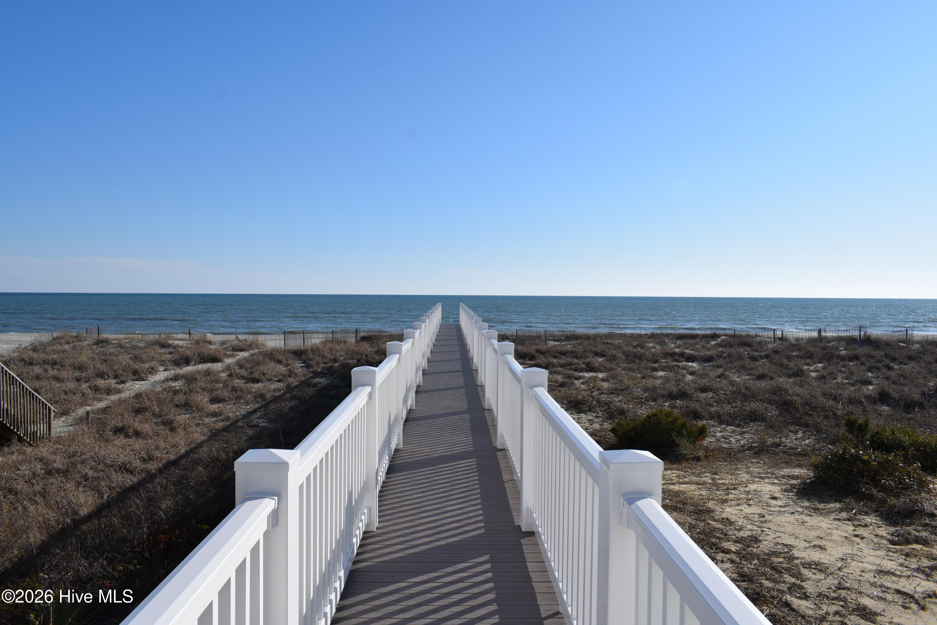 100552819 | Photo 49