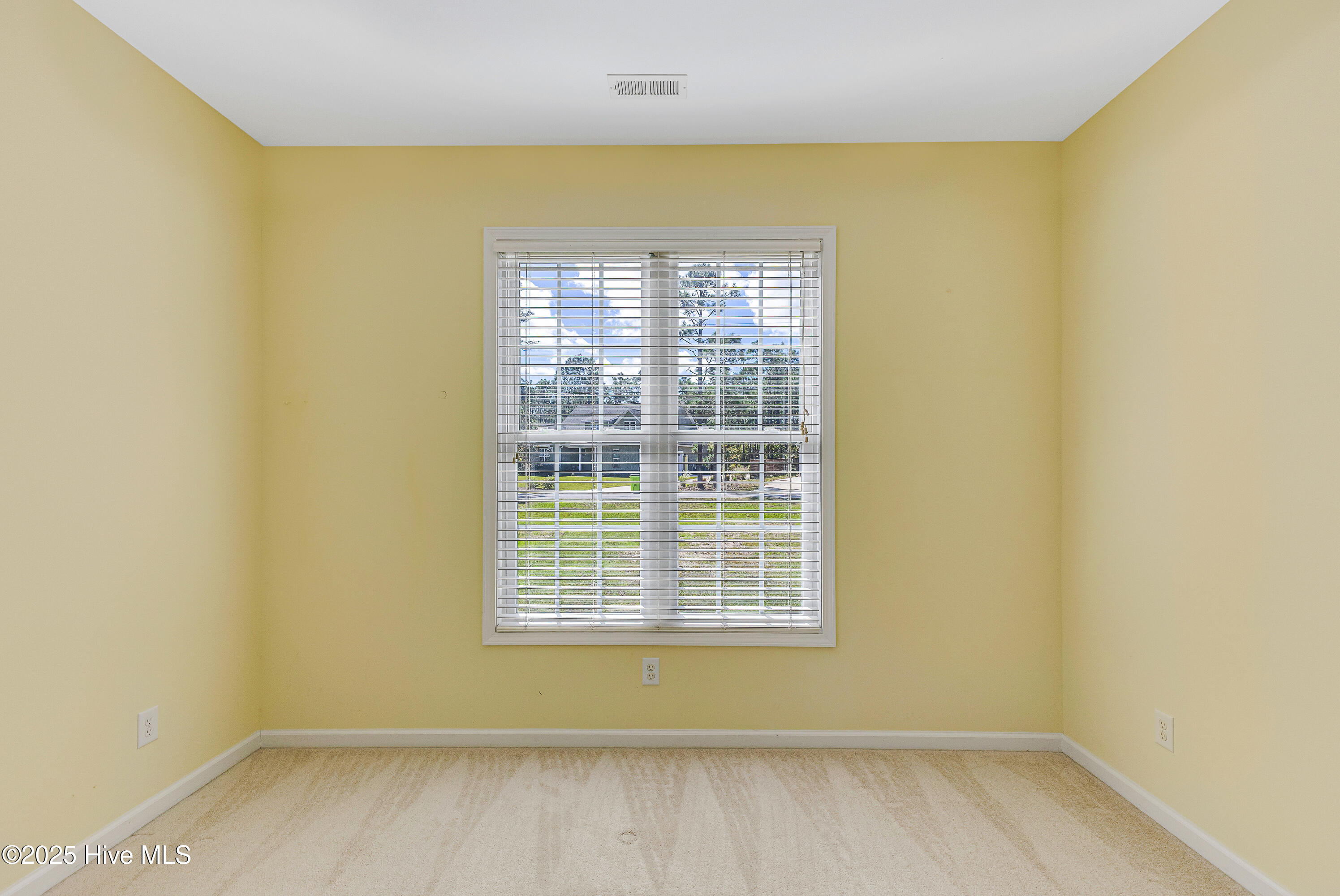 100535789 | Photo 22