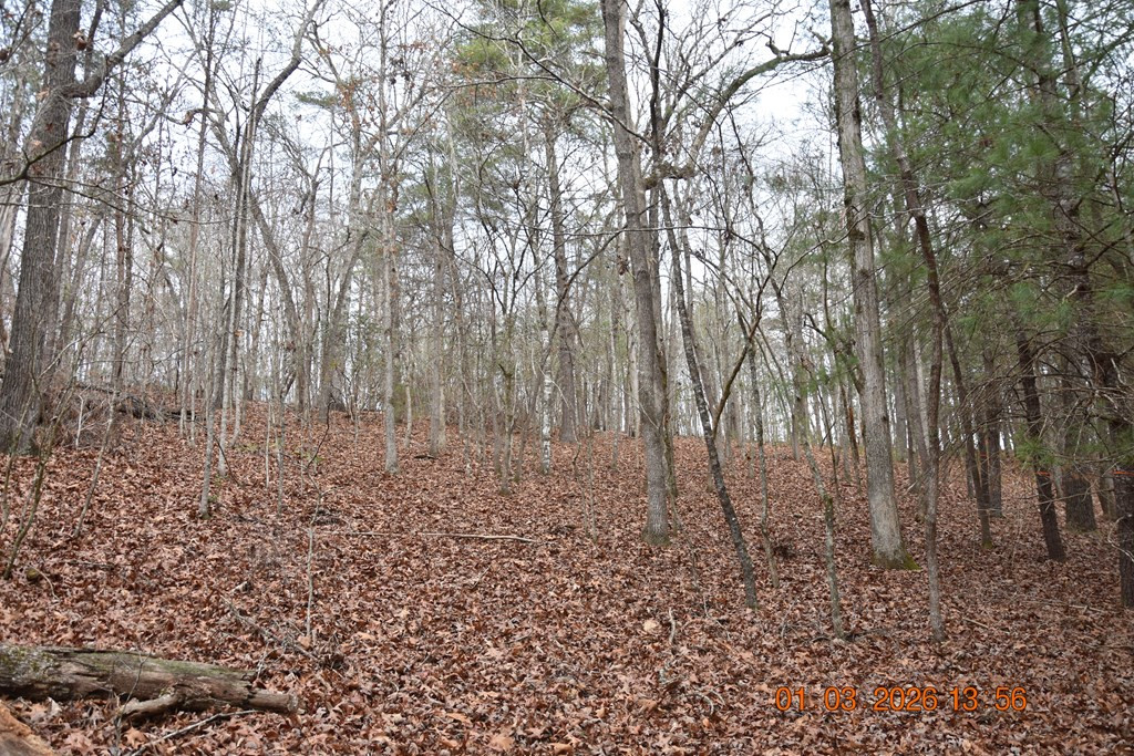 Exterior photo of 167 Swaims, Hayesville, NC 28904. MLS: 98525269