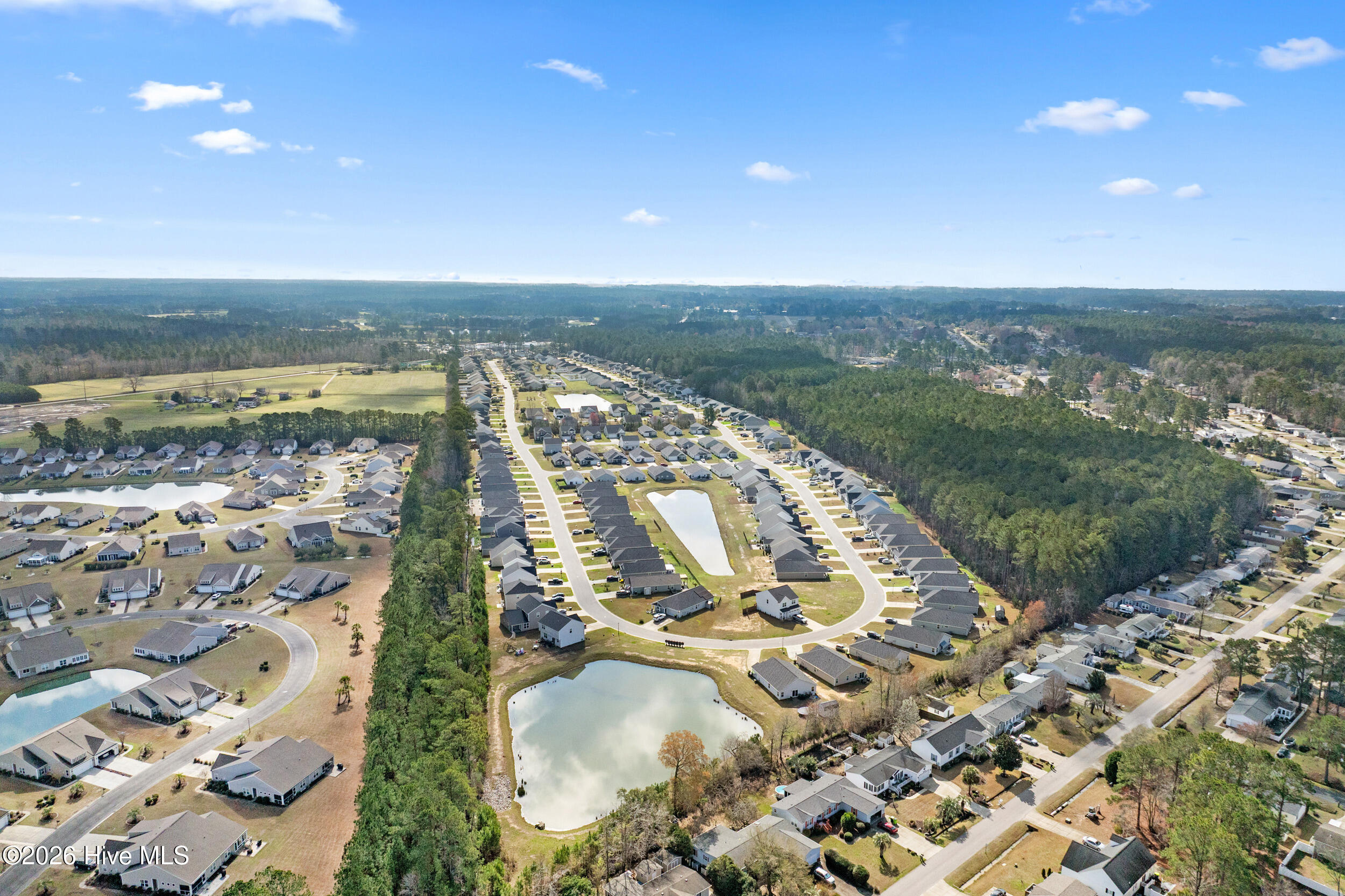 100559429 | Photo 37