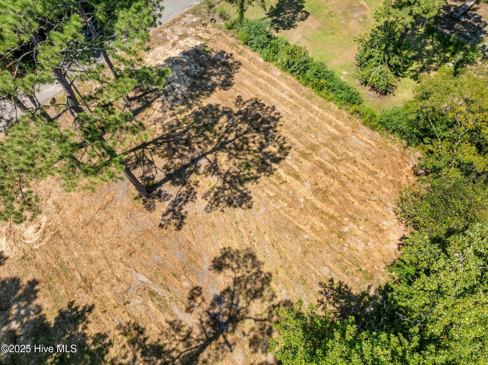 100546344 | Photo 11