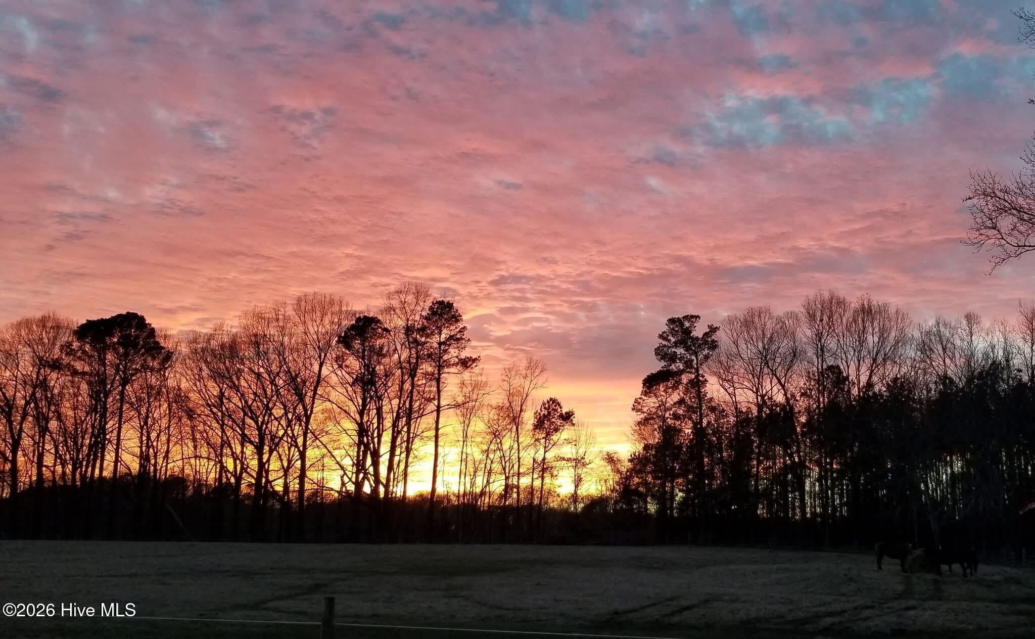 2639 Nc Highway 211, Clarkton, NC, 28433