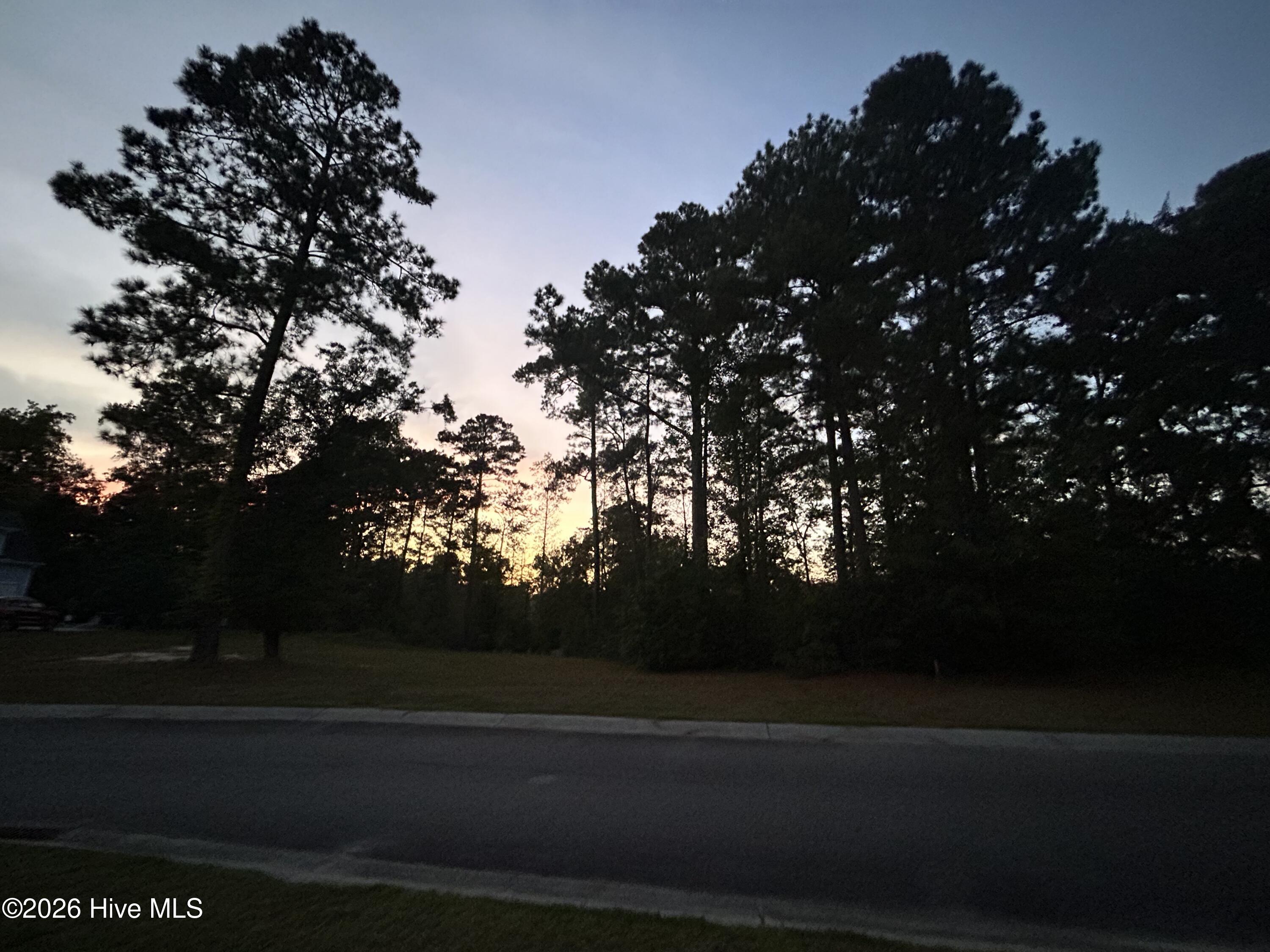 100552333 | Photo 17