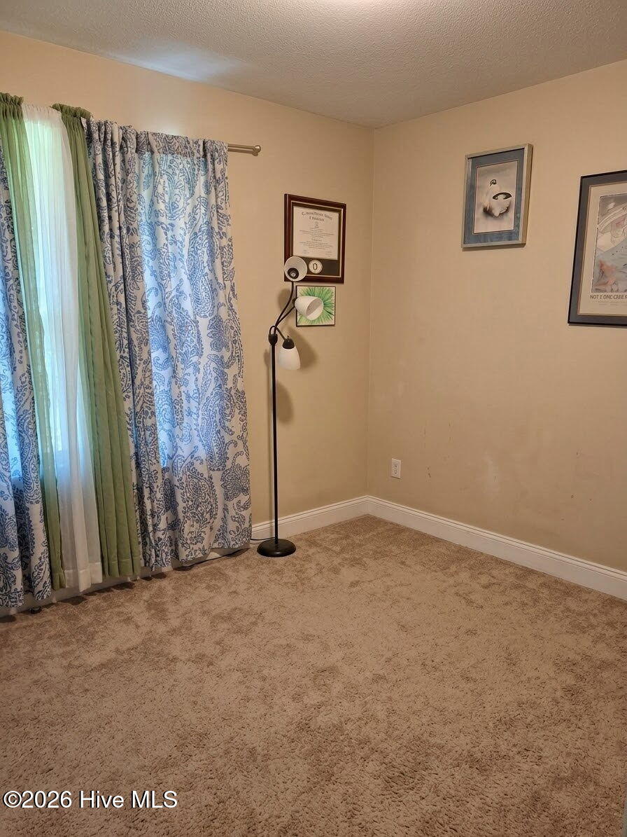 119 Dallas Drive,Beulaville