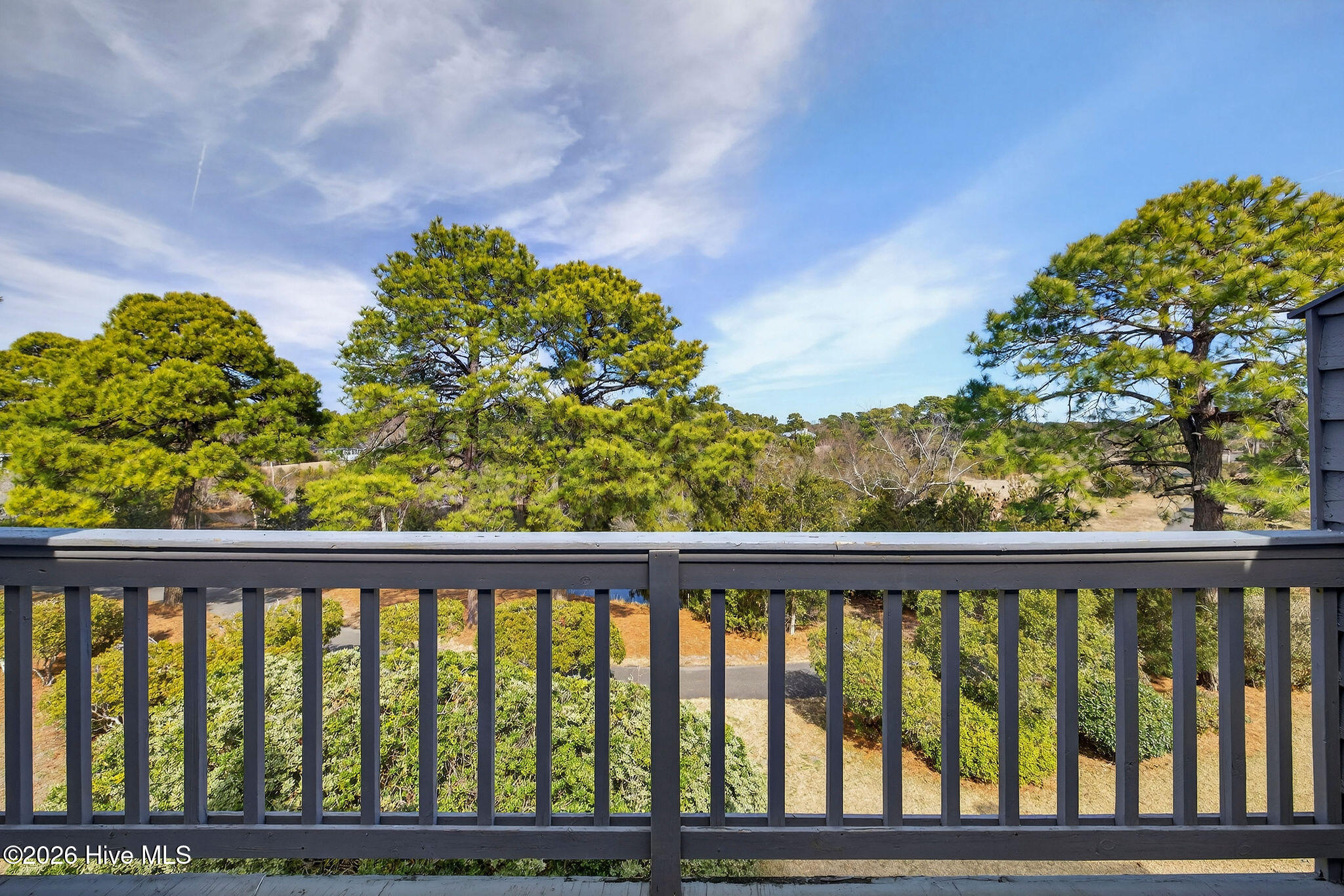 100555356 | Photo 31