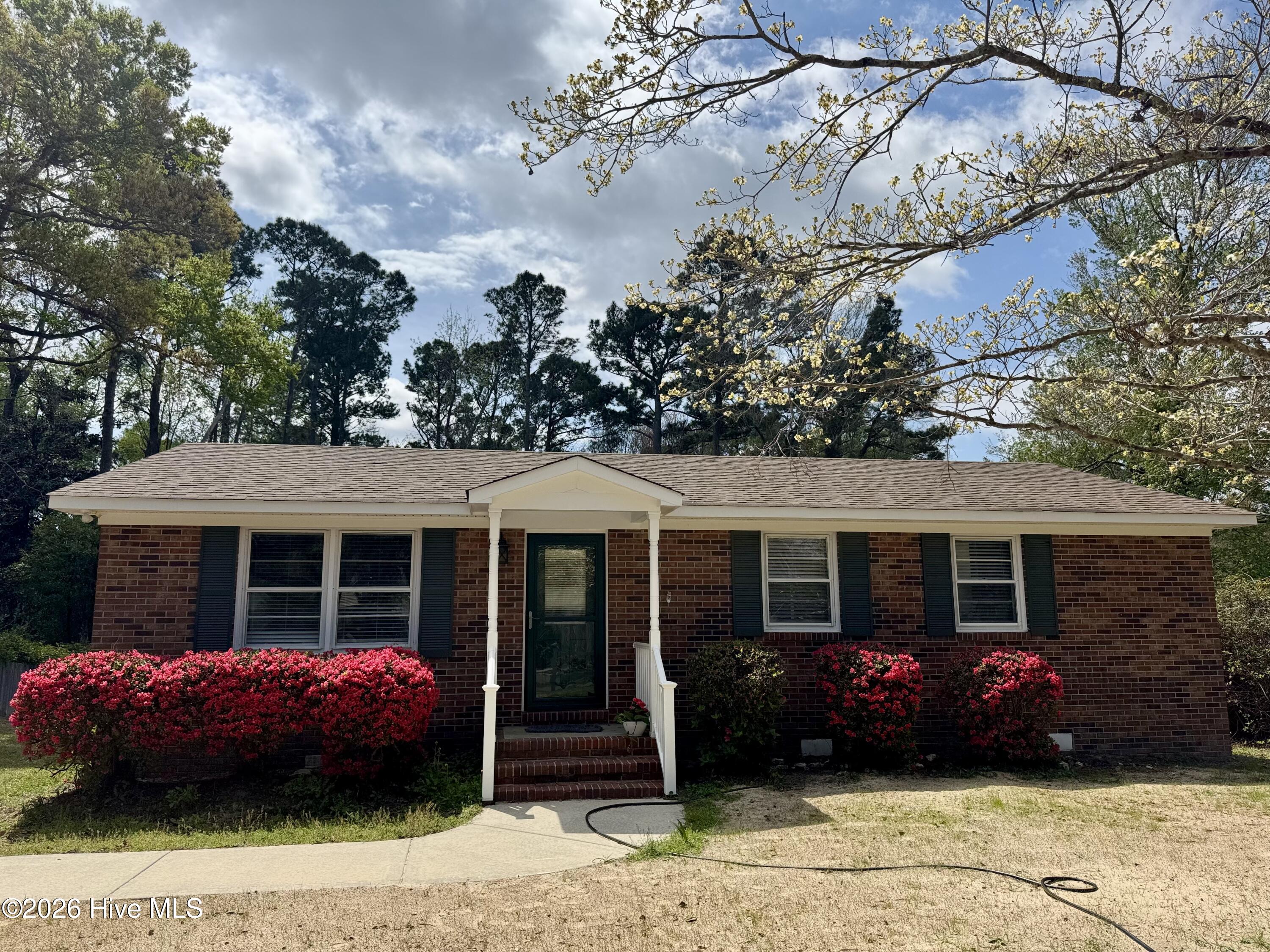 100539021 | Photo 15