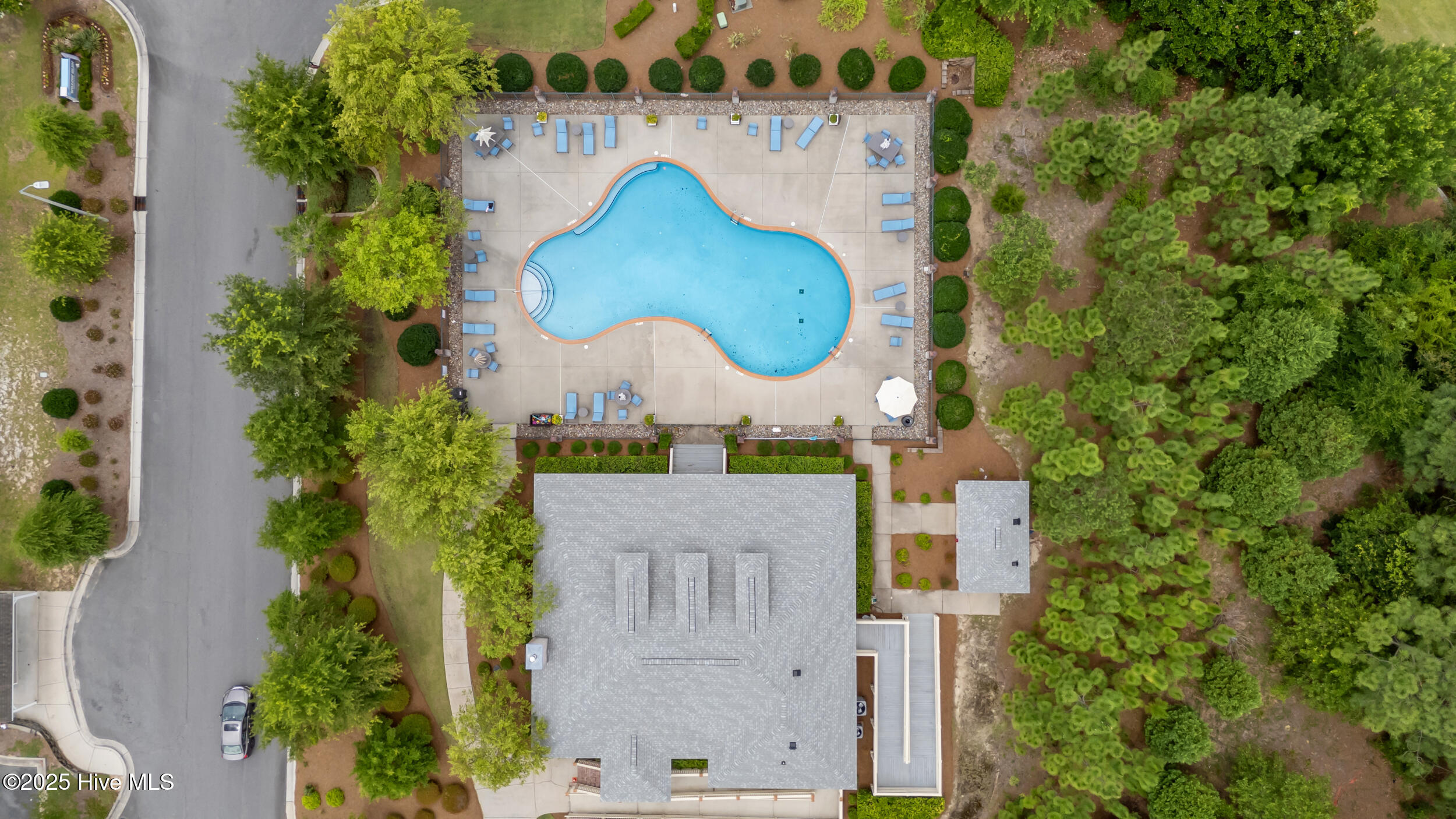 100521599 | Photo 52