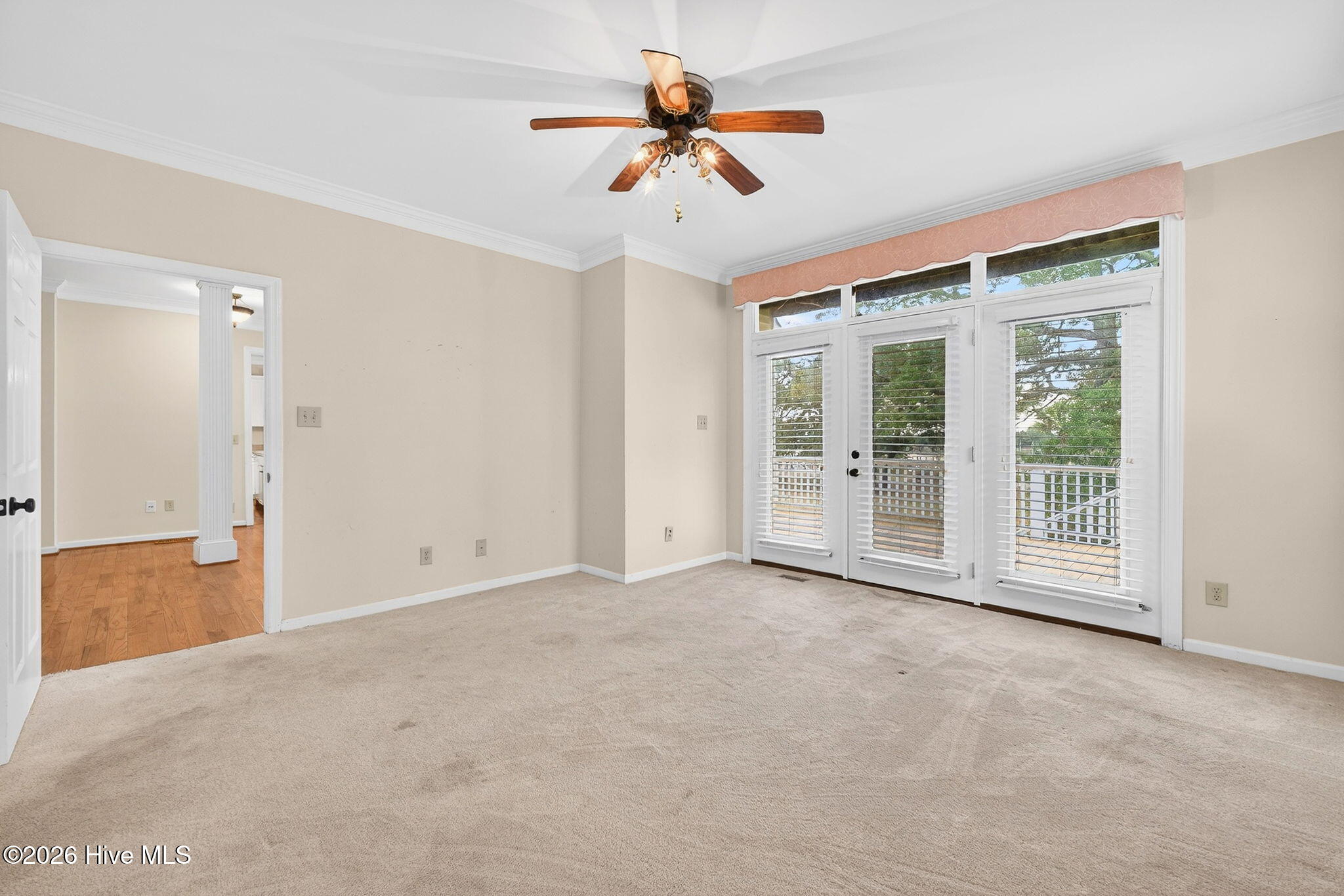 100559541 | Photo 33