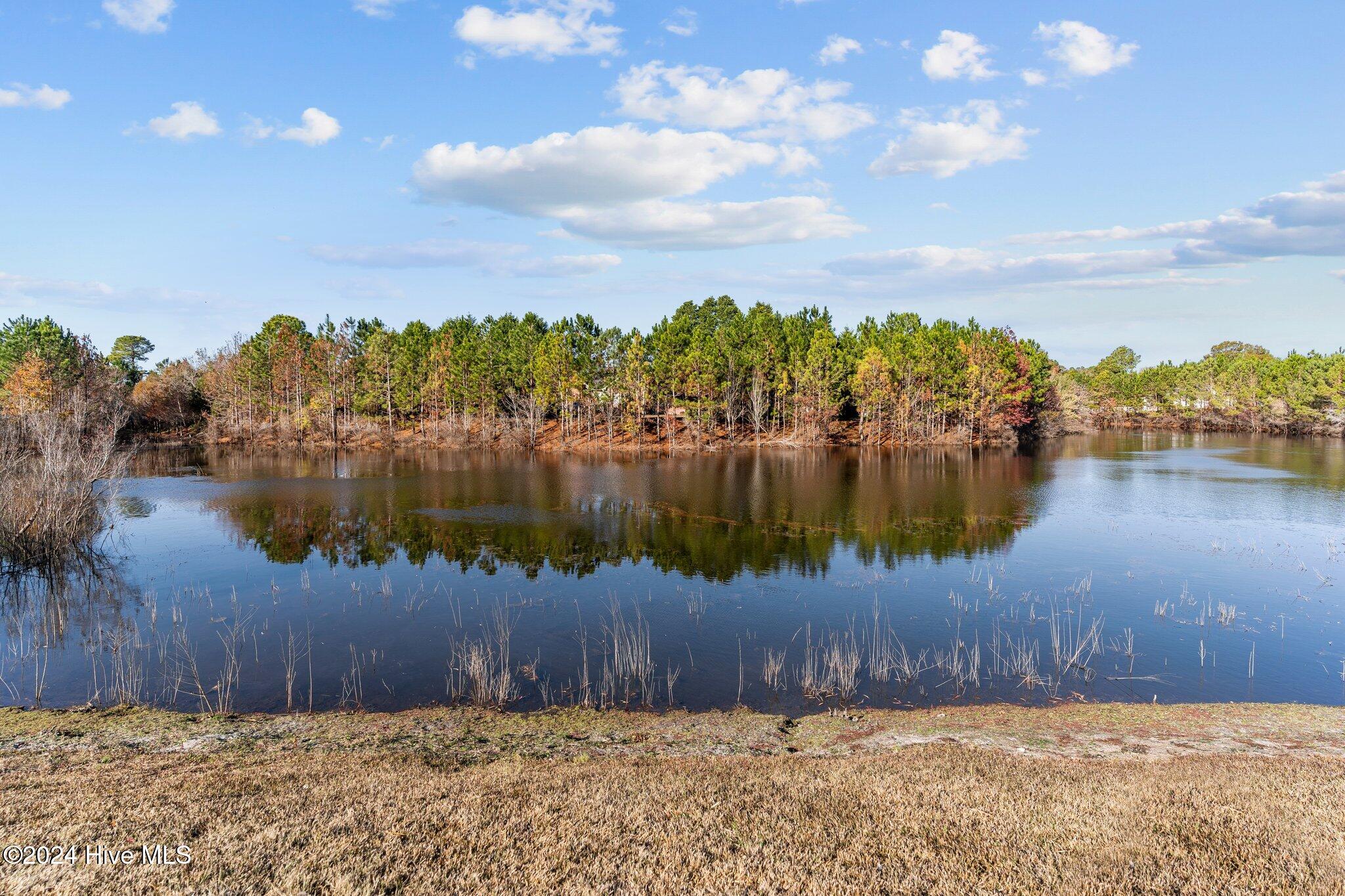 100474458 | Photo 44