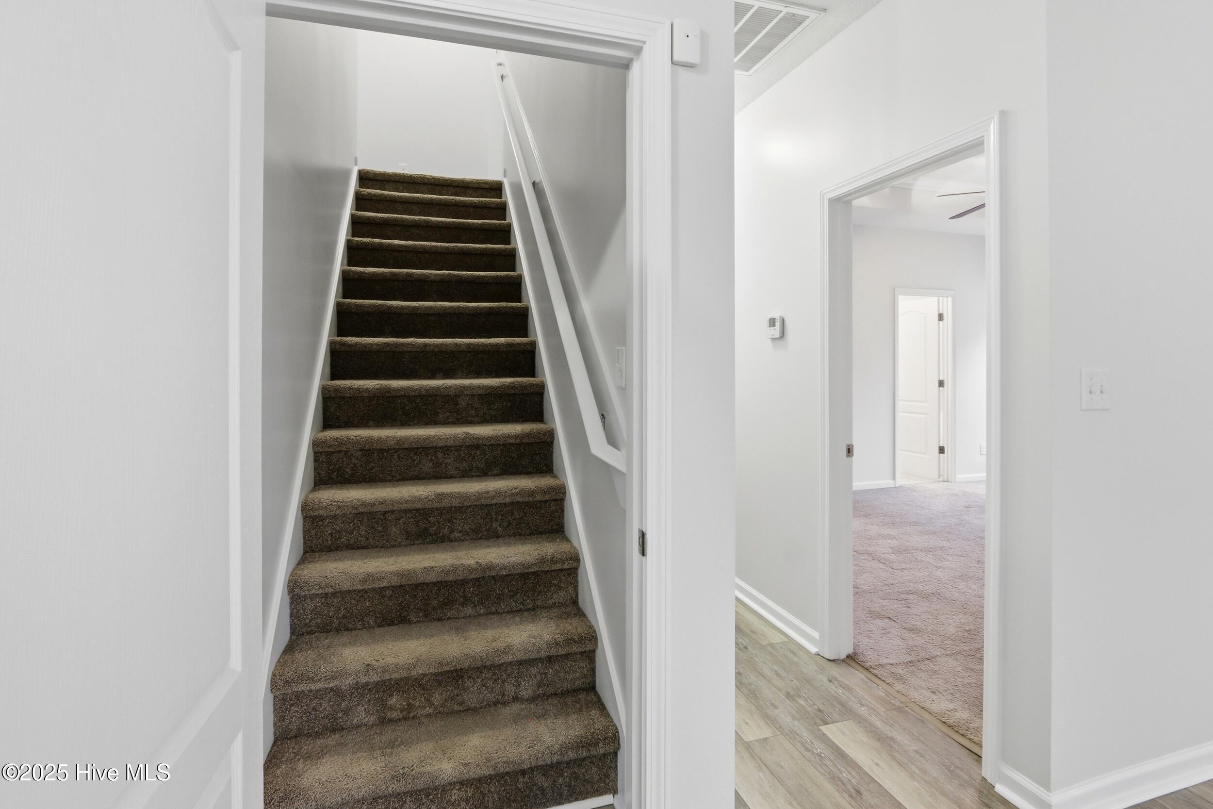 100545601 | Photo 40