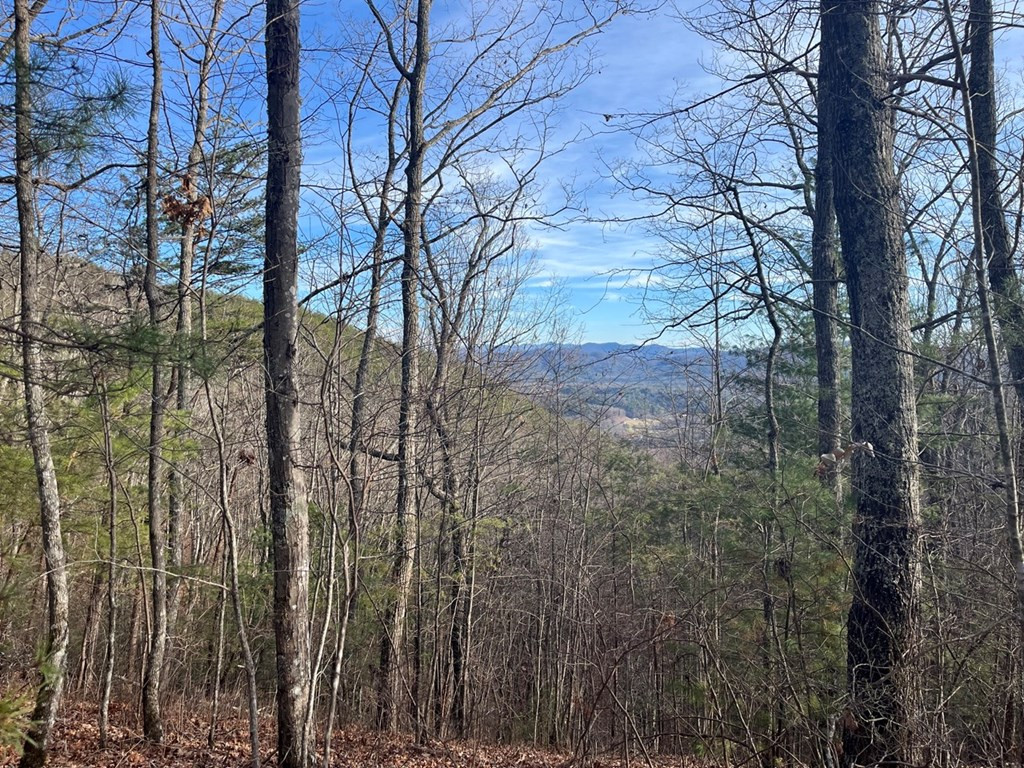 Exterior photo of Lot 14 Patriot Ridge, Murphy, NC 28906. MLS: 98500231