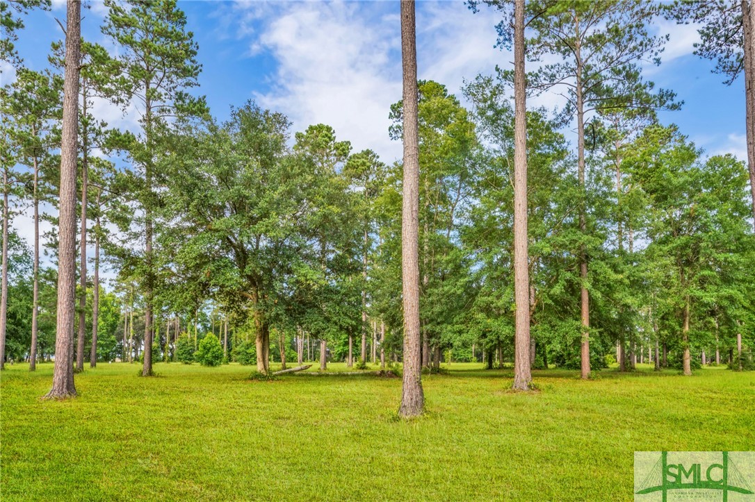 Homes for sale in Townsend, GA | Lot 29 Tranquility Pl, Townsend, GA 31331 | MLS# SA274451