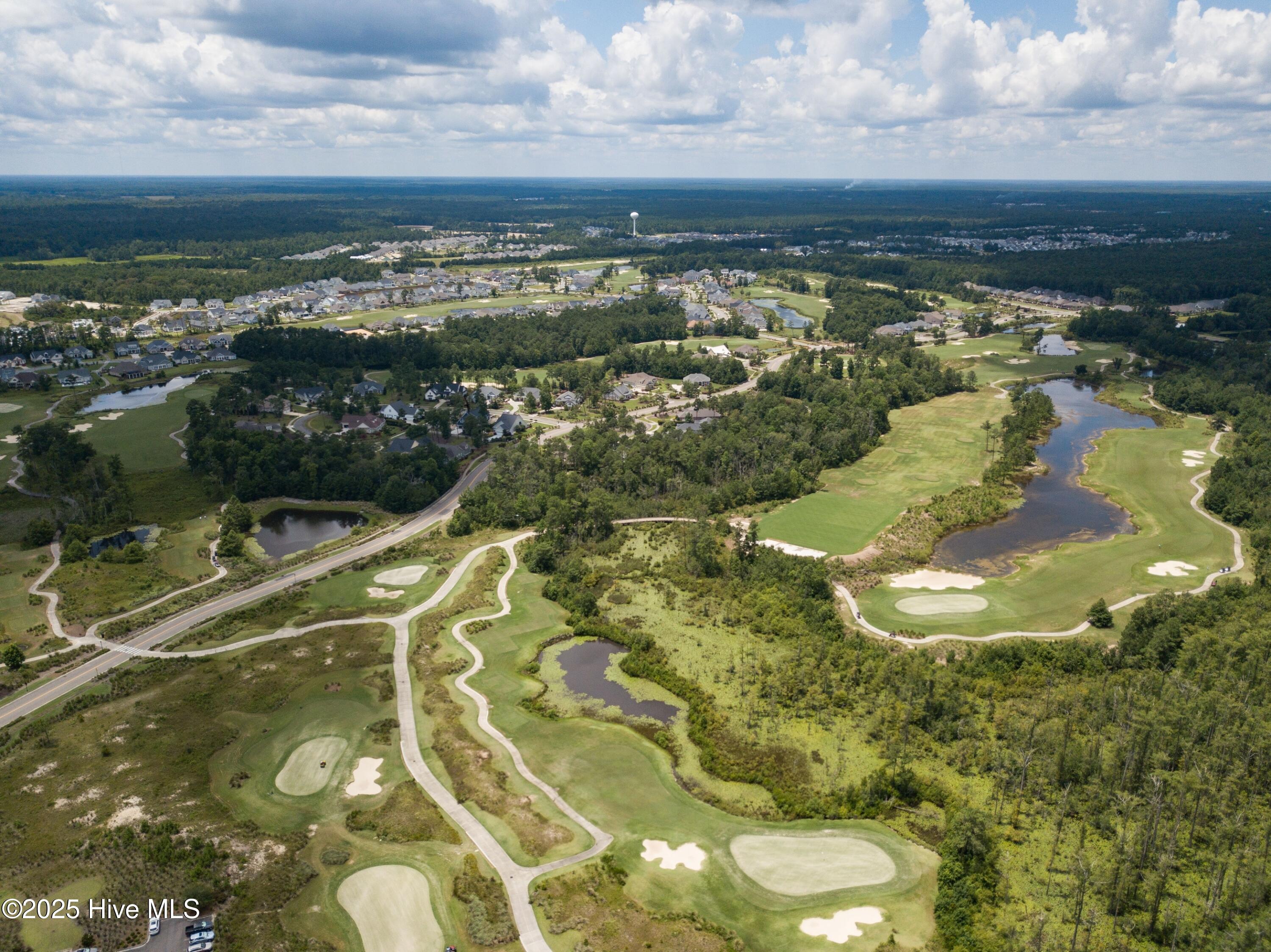 100531261 | Photo 99