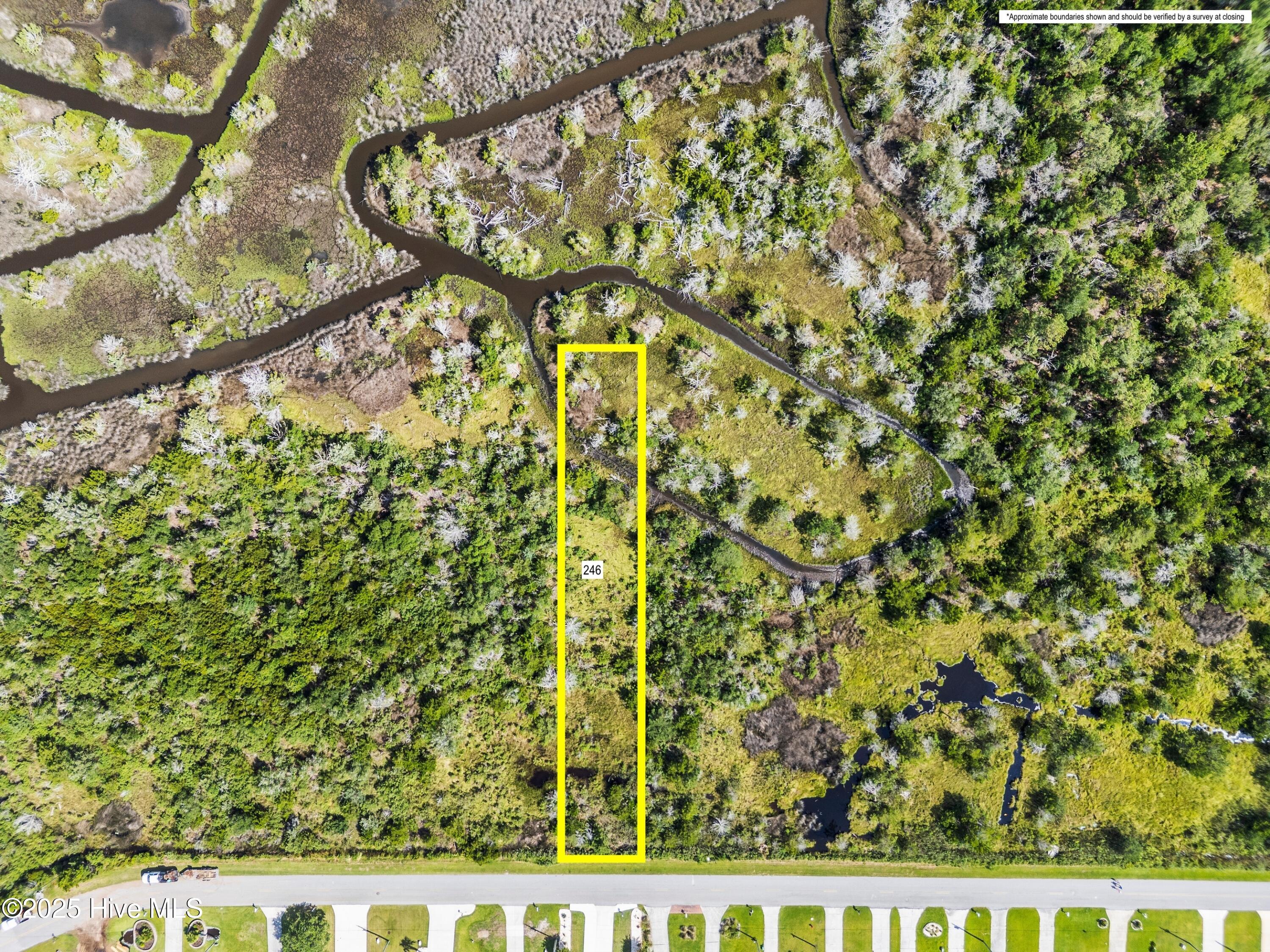 100520115 | Photo 12