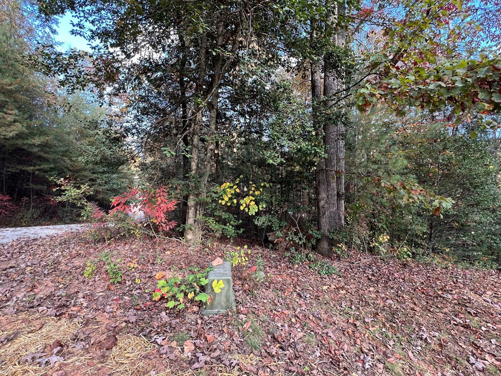 72 Victory Lane, Murphy, NC 28906 Listing Photo  56