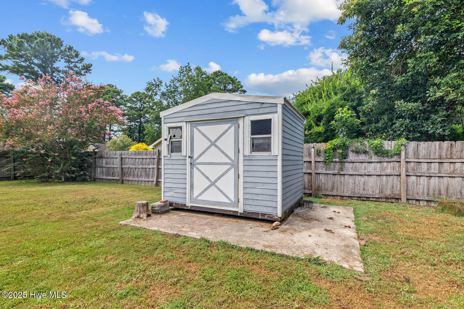 100522484 | Photo 52