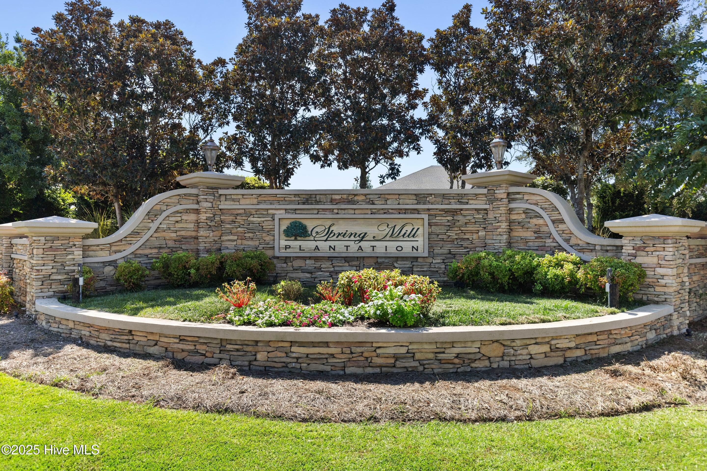 100529206 | Photo 41