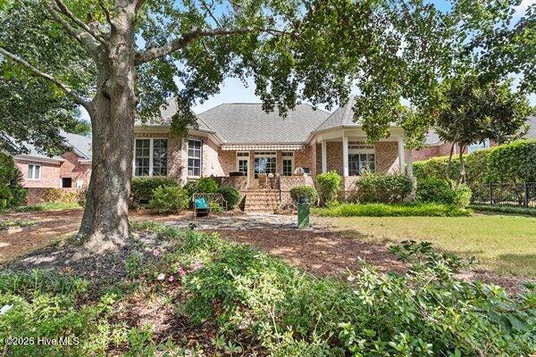 100534265 | Photo 42