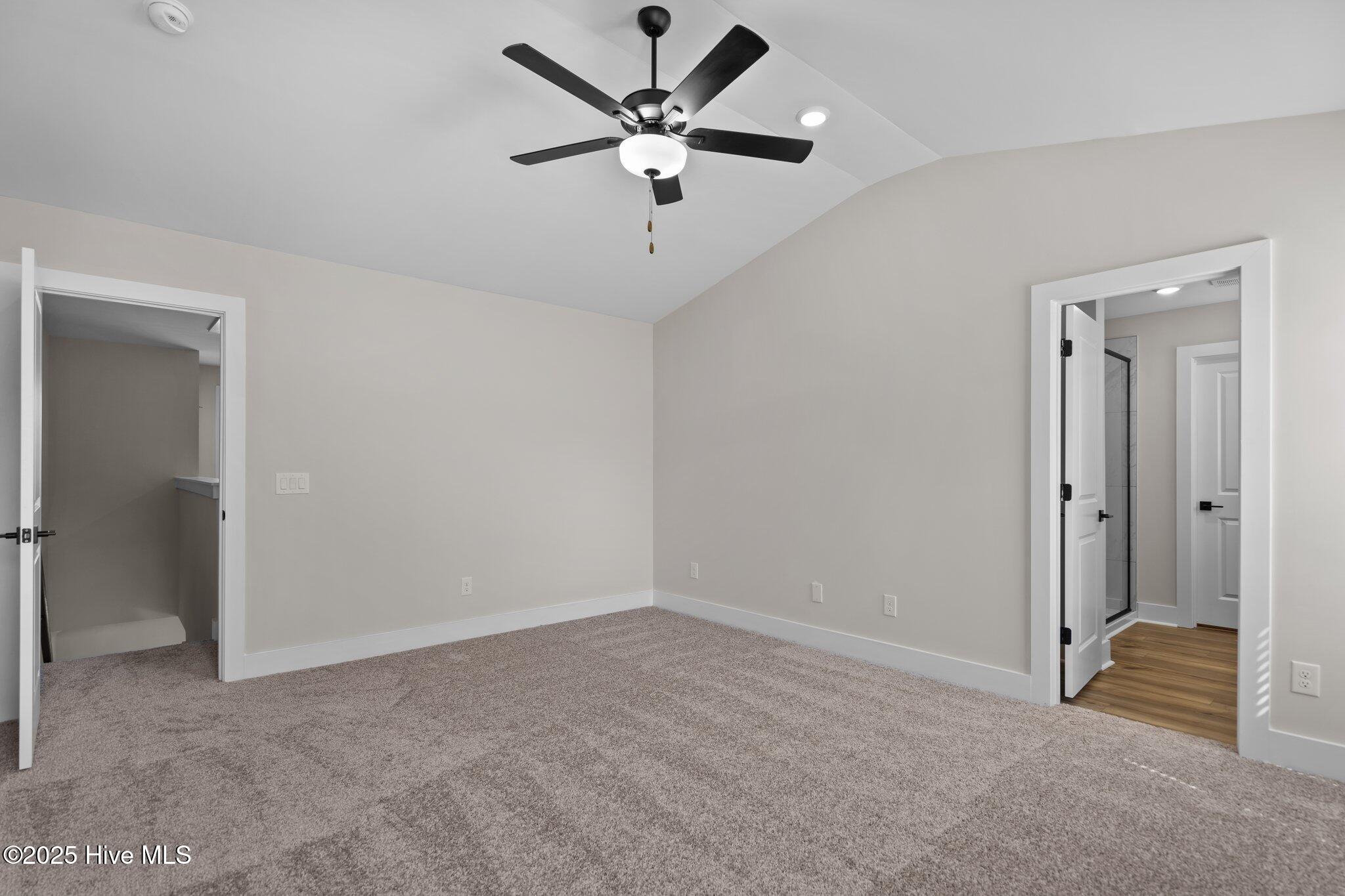 100555757 | Photo 18