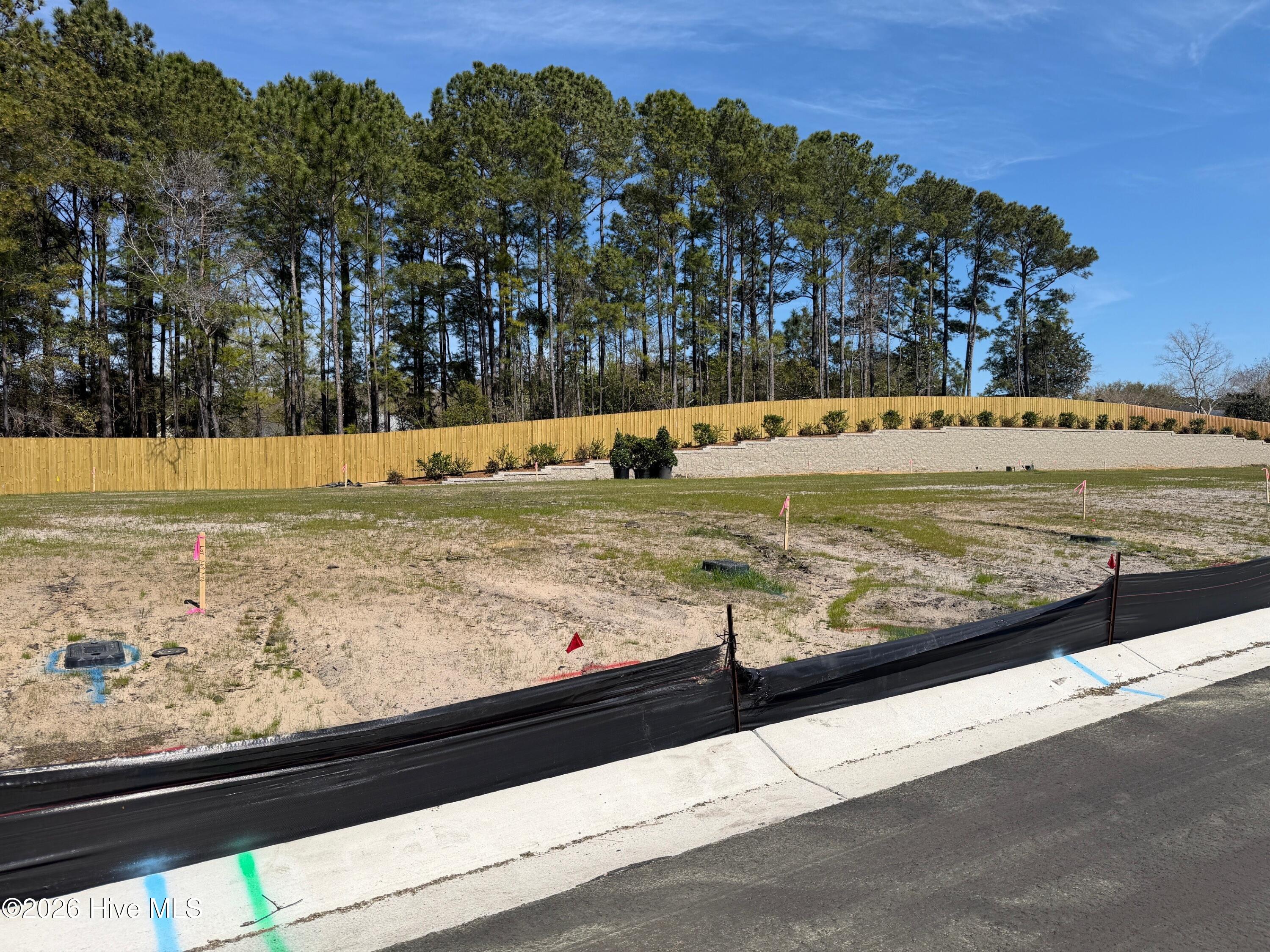 100568301 | Photo 26