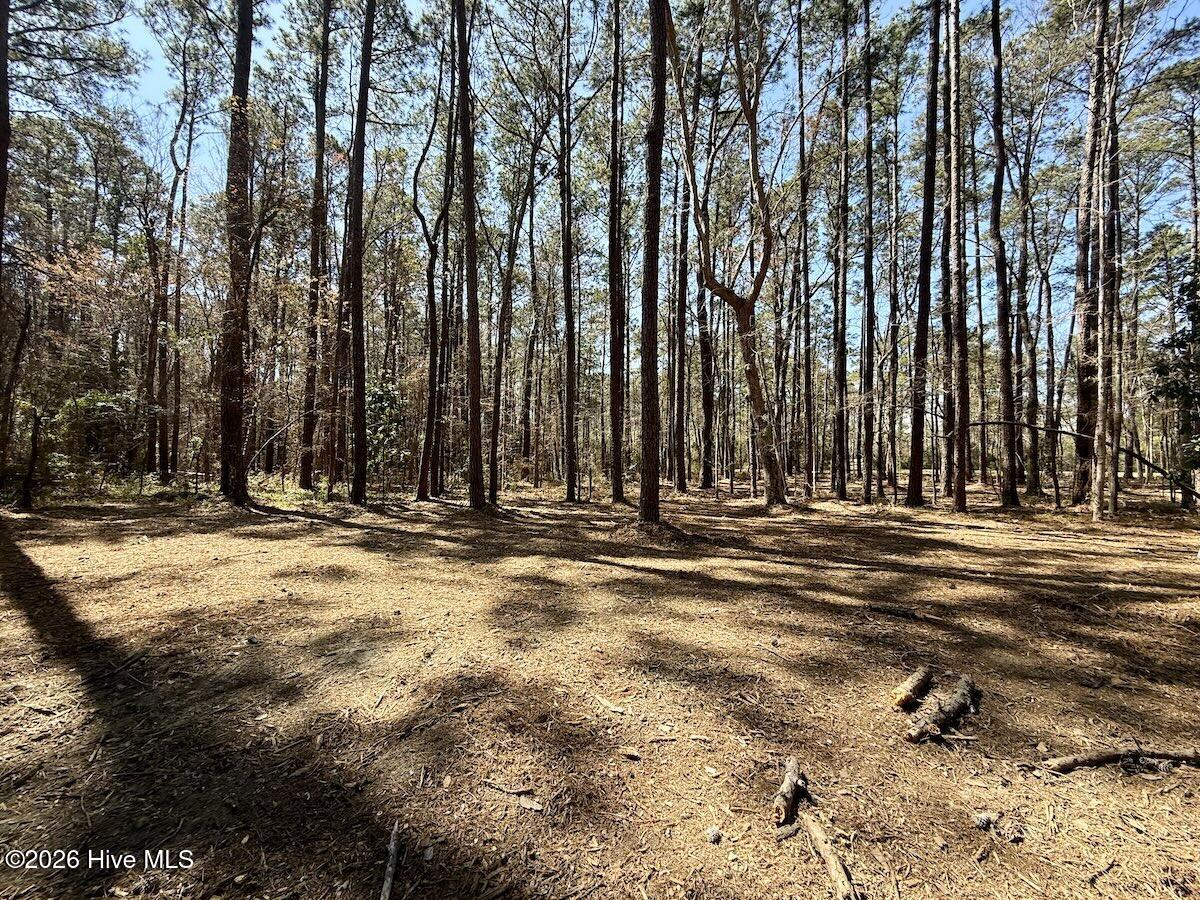 0 Lot 1 Creek Place Road,Arapahoe