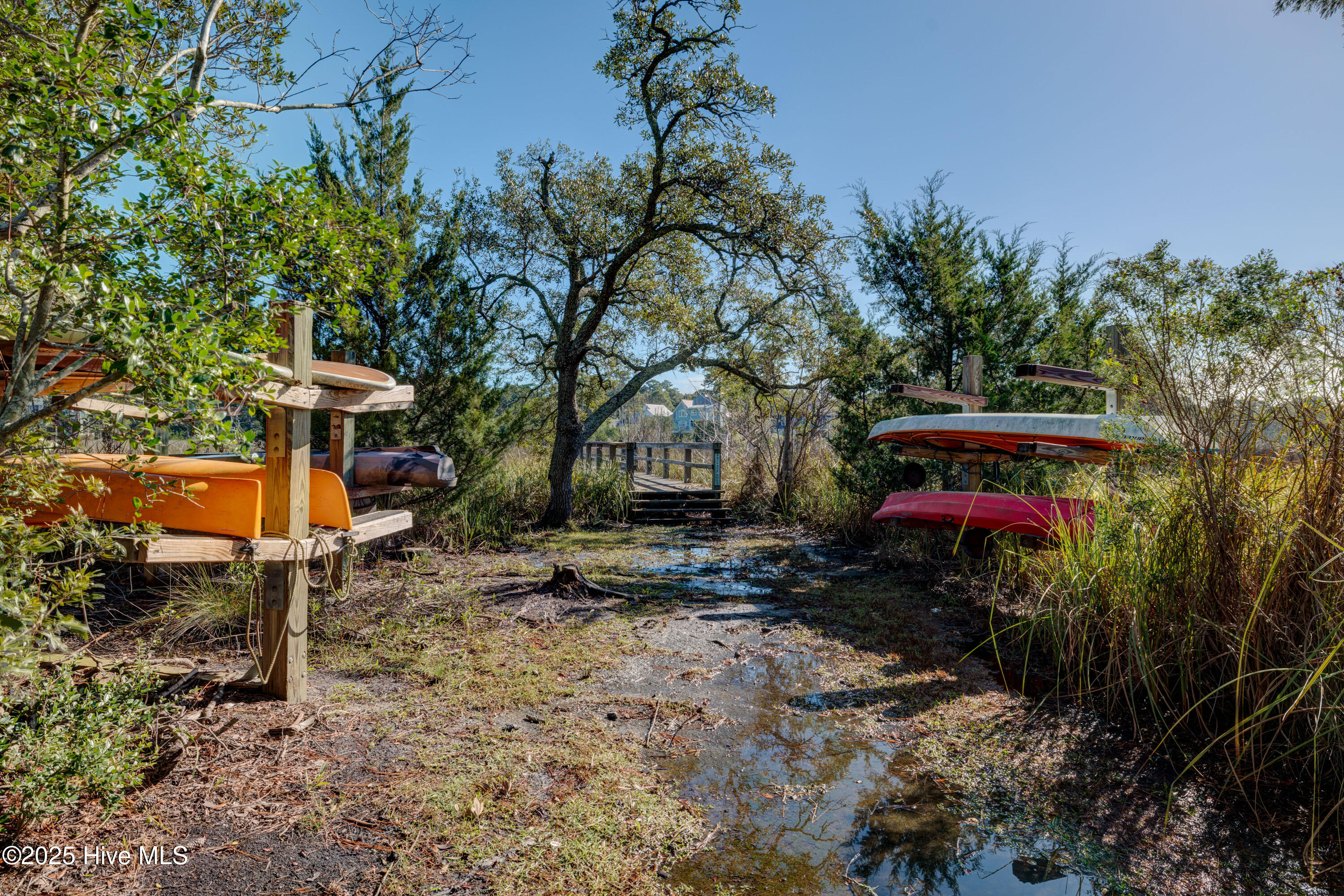 100534923 | Photo 41