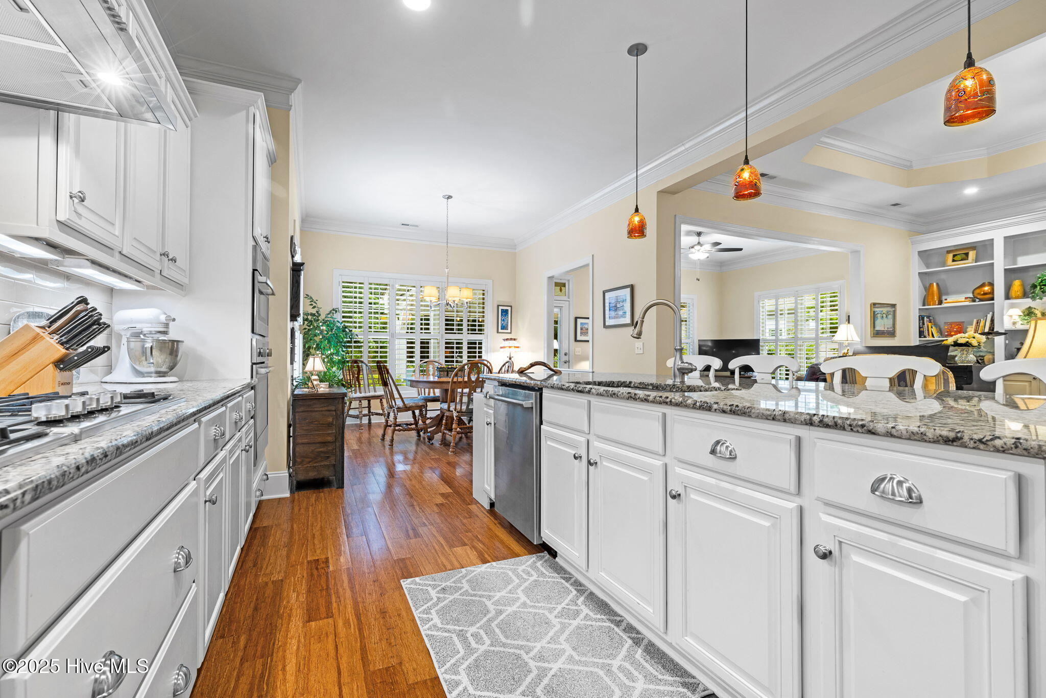 100508421 | Photo 12