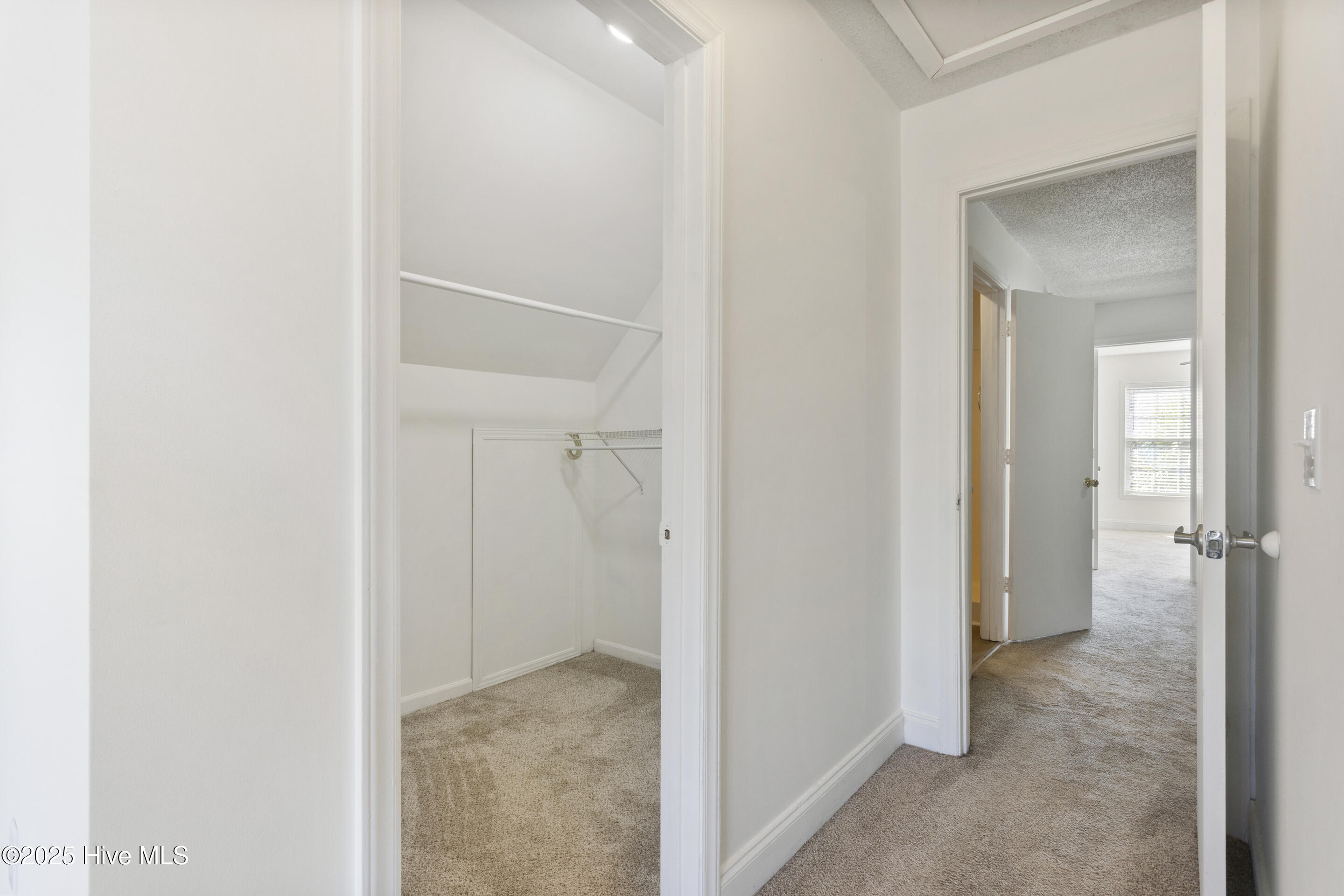 100548338 | Photo 33