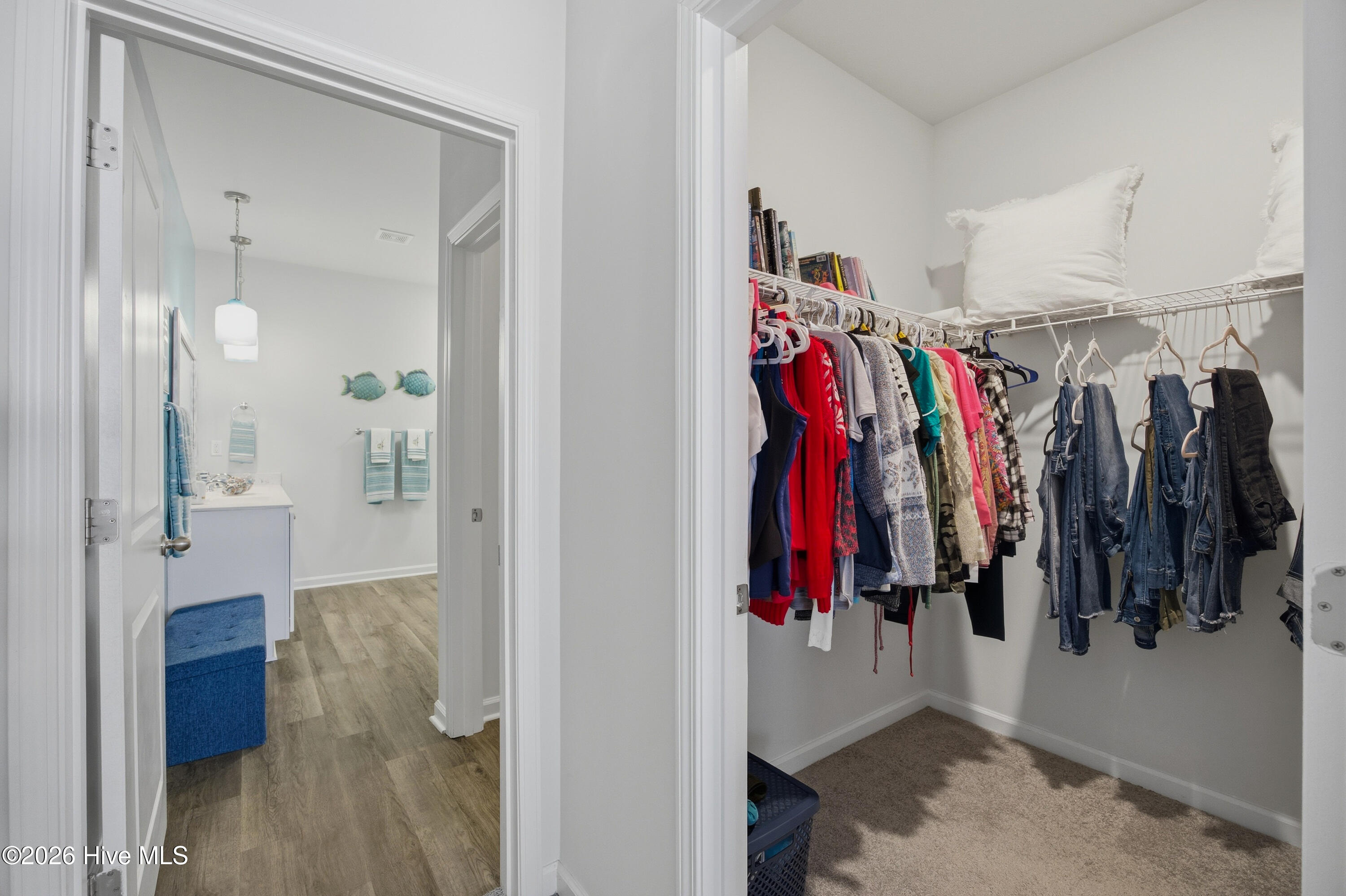 100550888 | Photo 47