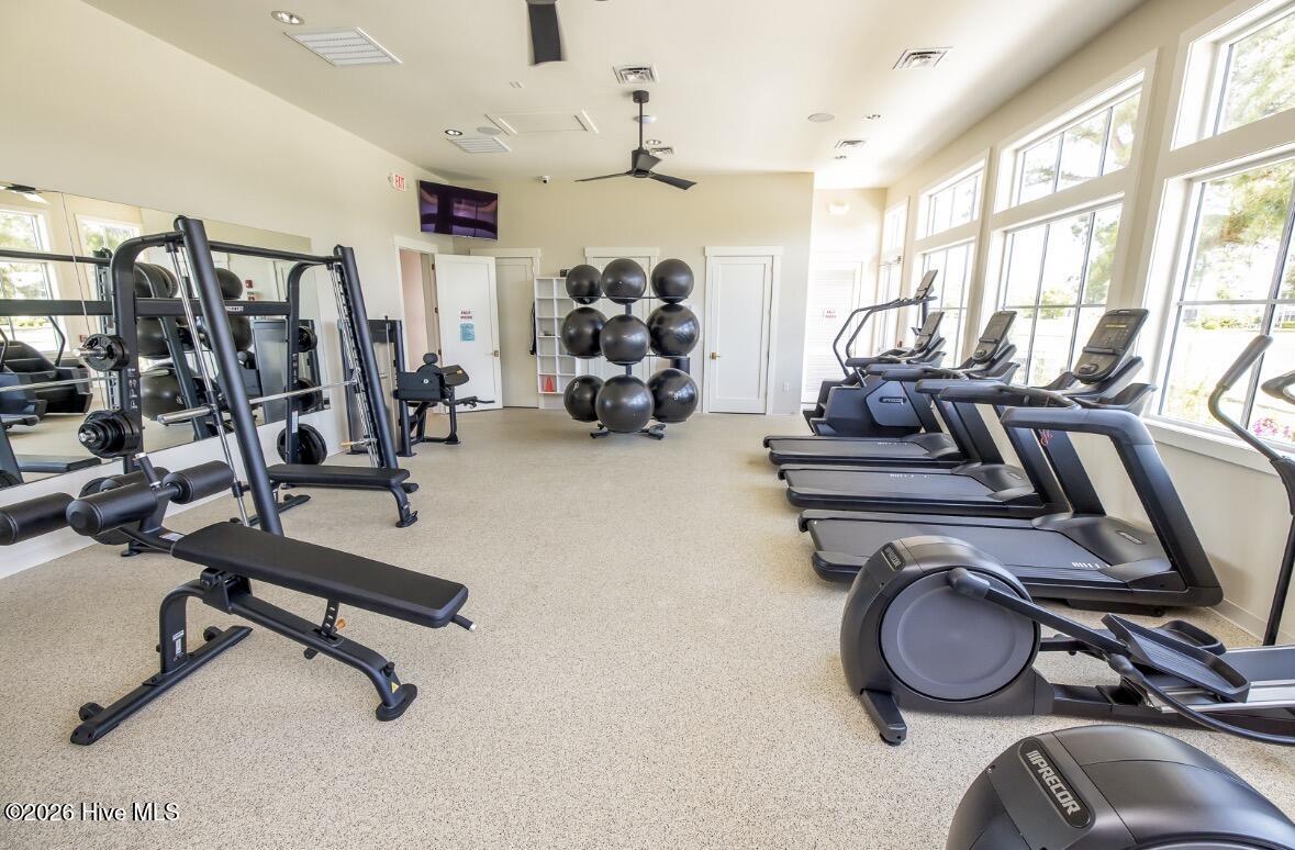 100567663 | Photo 39