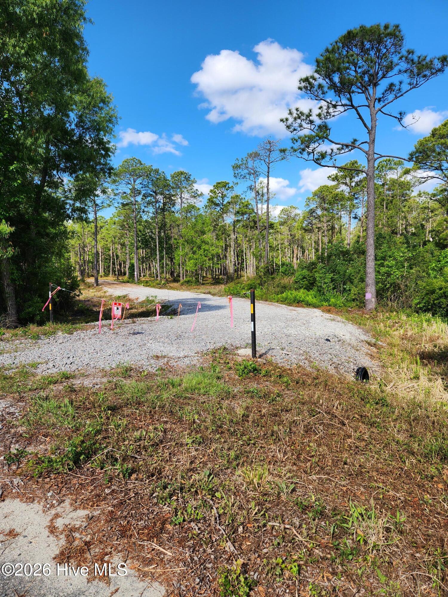 Shirley Johnson - MLS Number: 100479507