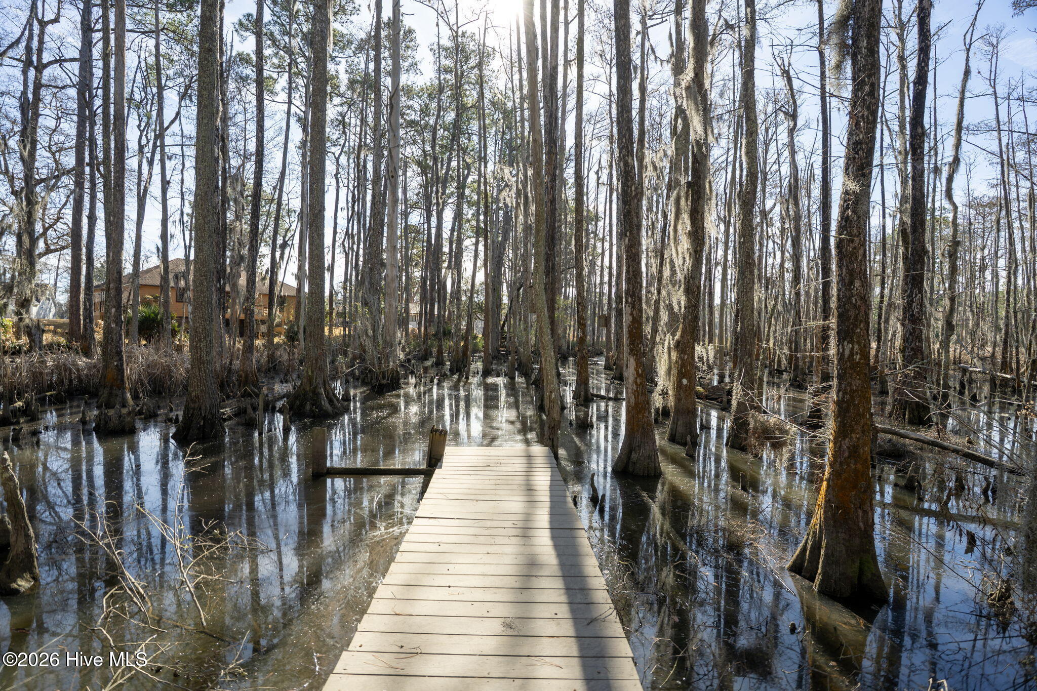 100550743 | Photo 19