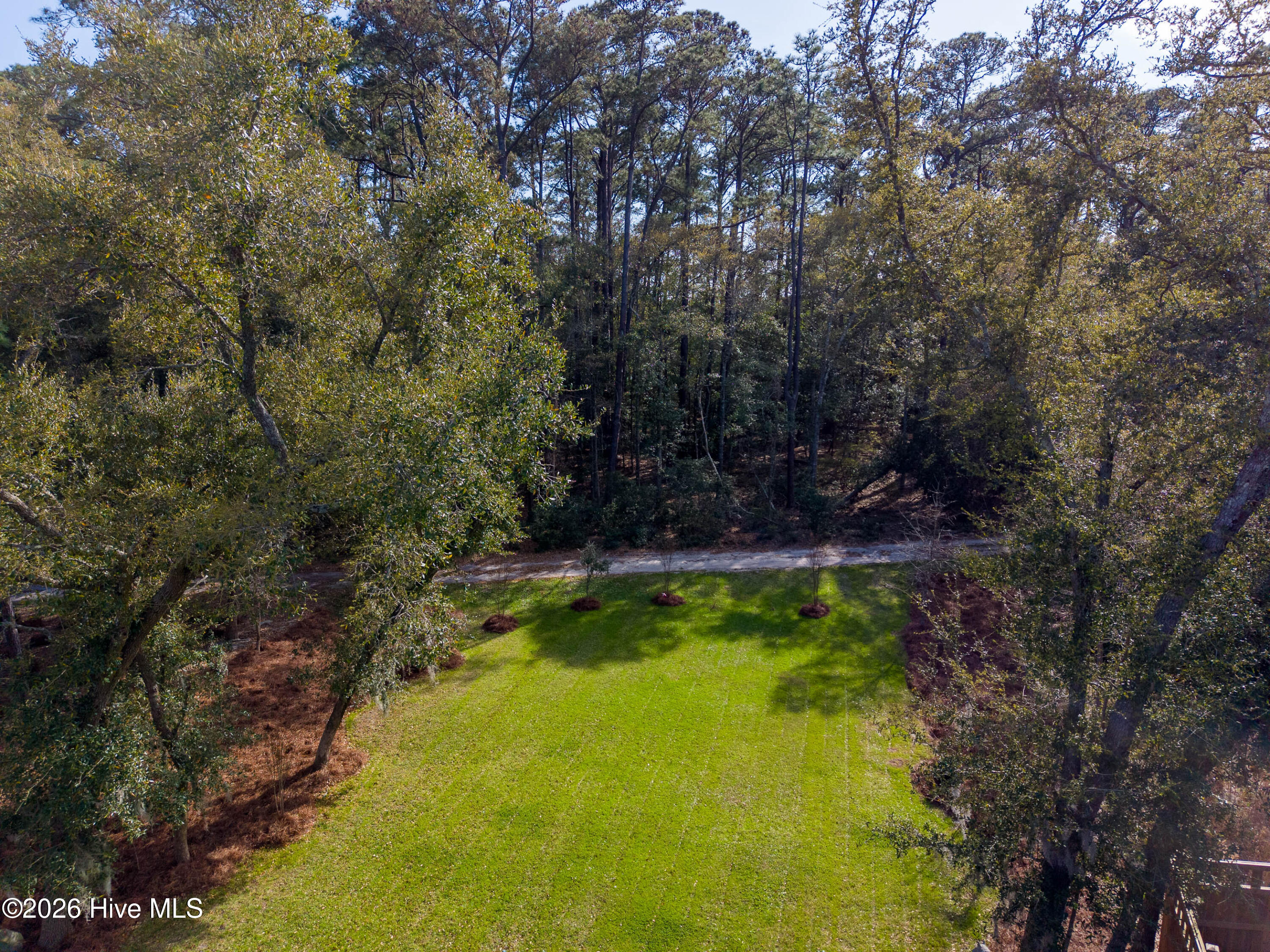 100562920 | Photo 34