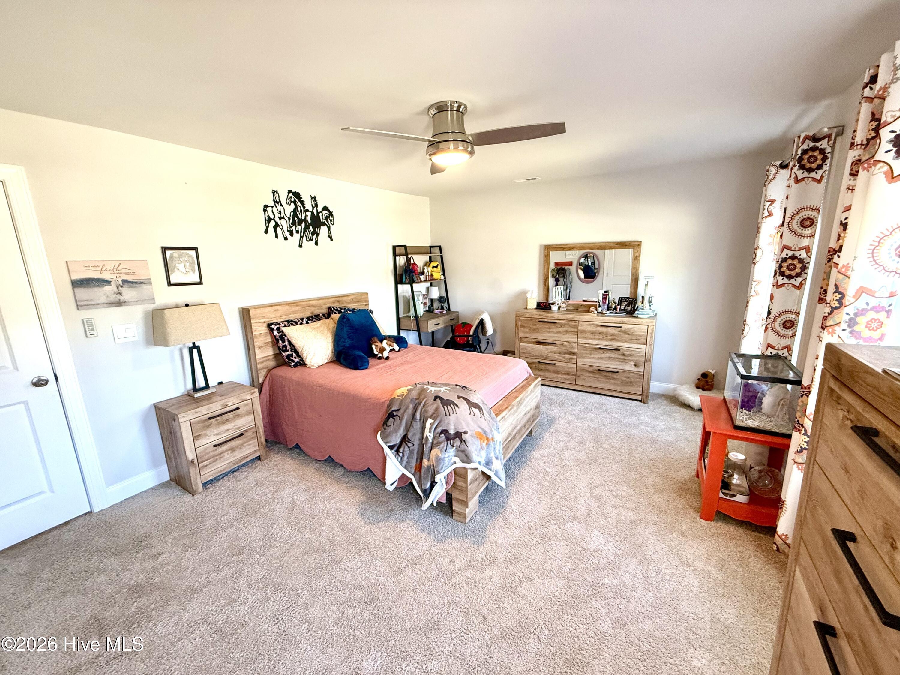 5010 Spring Green Pass,New Bern